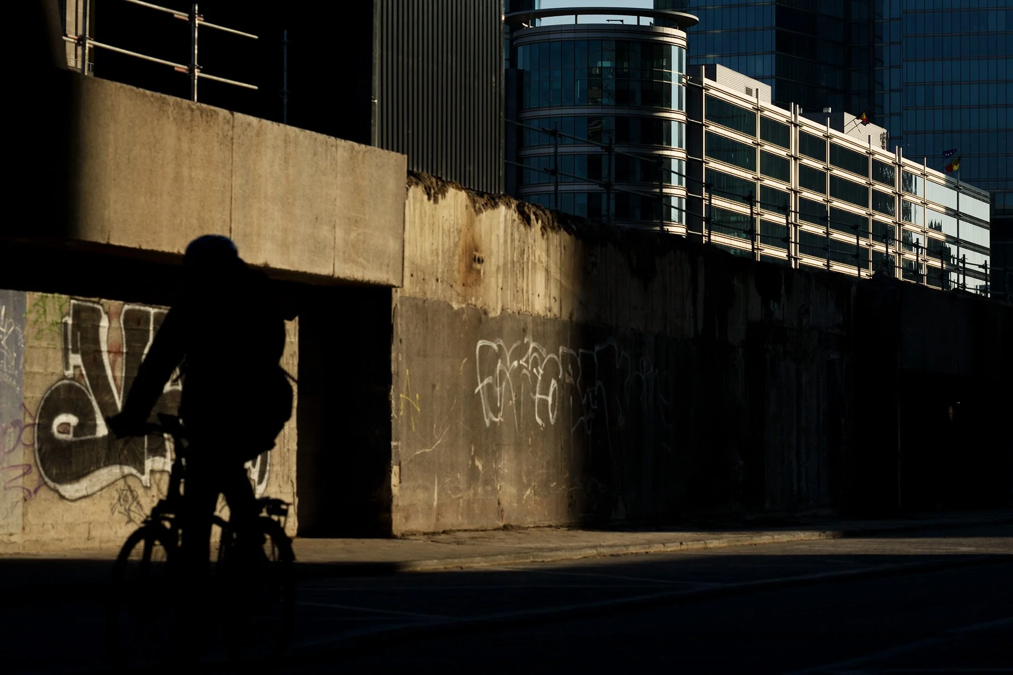 IMGL5654_6780.jpg