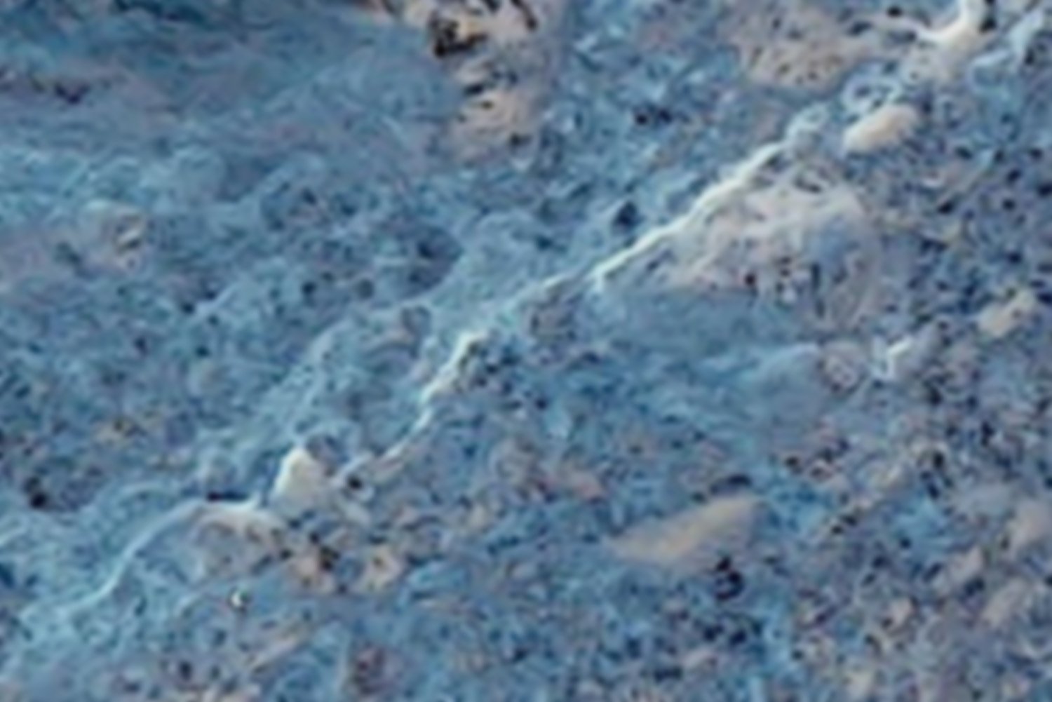 mars17 neg.jpg