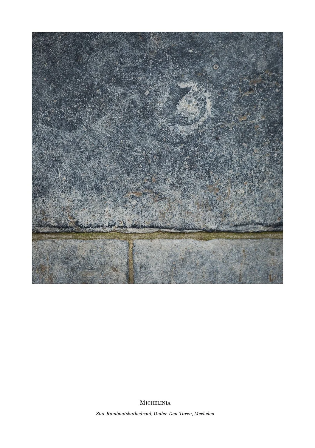 sense of place_converted IKA_converted_227.jpg