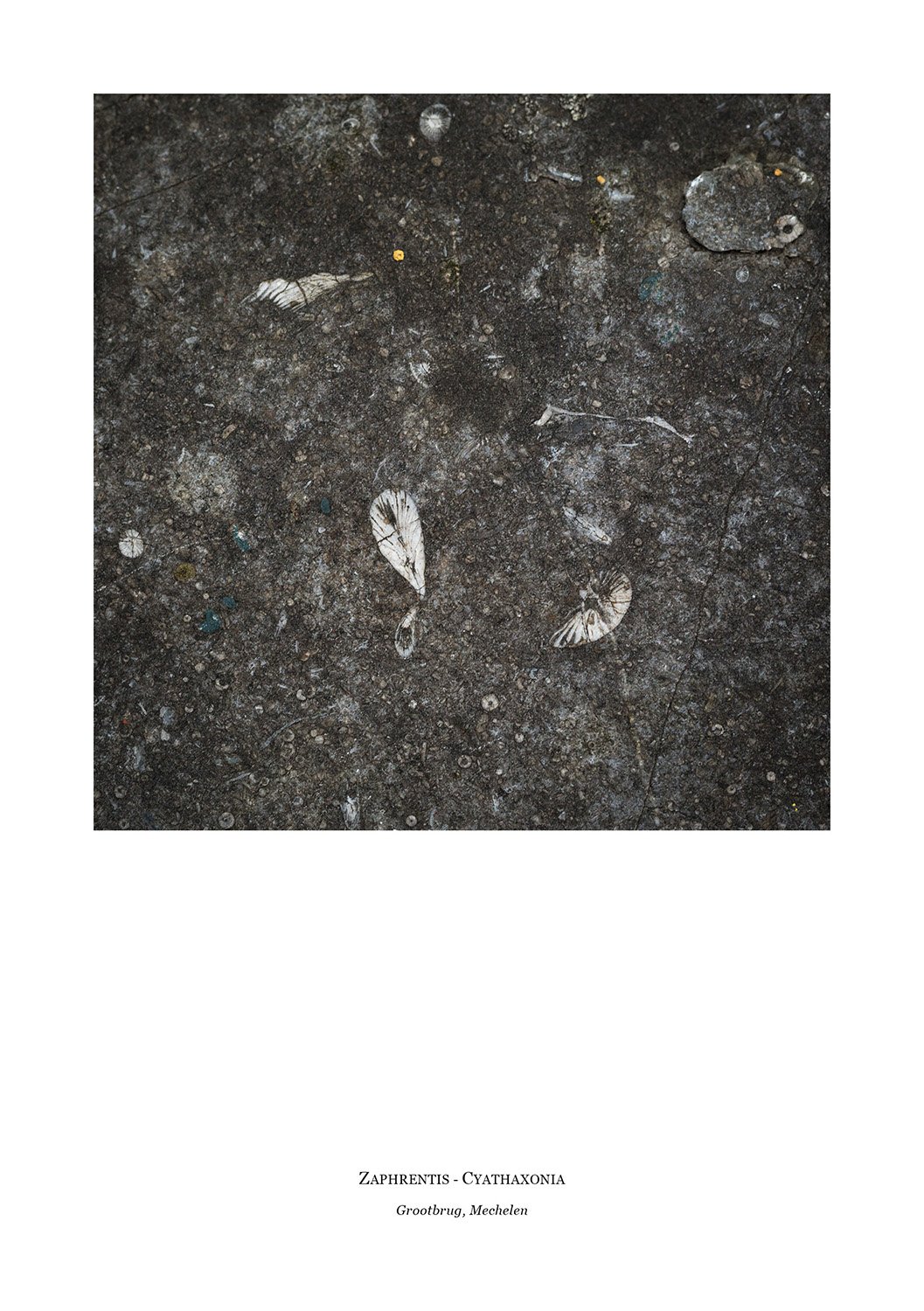 sense of place_converted IKA_converted_226.jpg