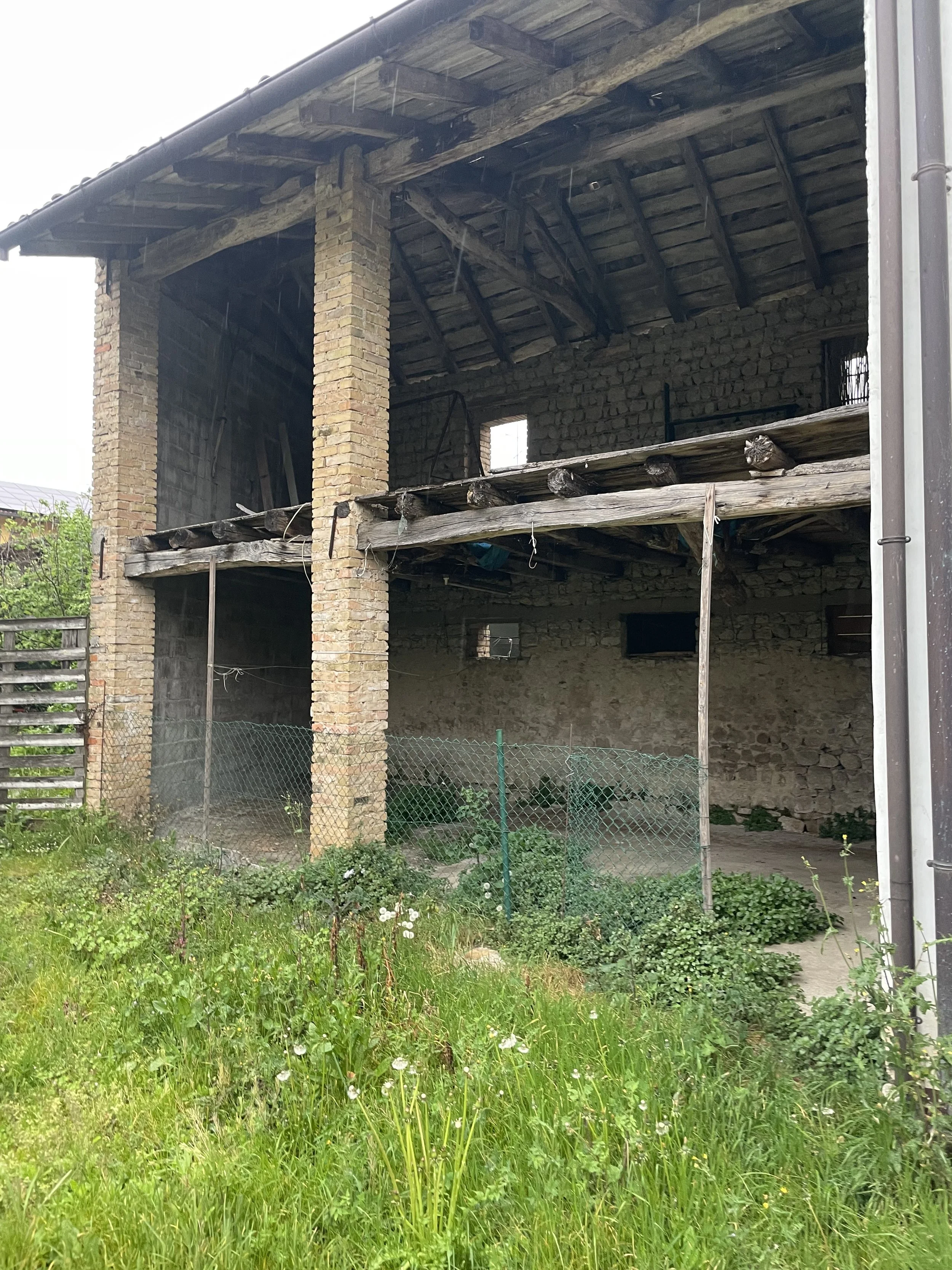 IMG_7352.jpeg