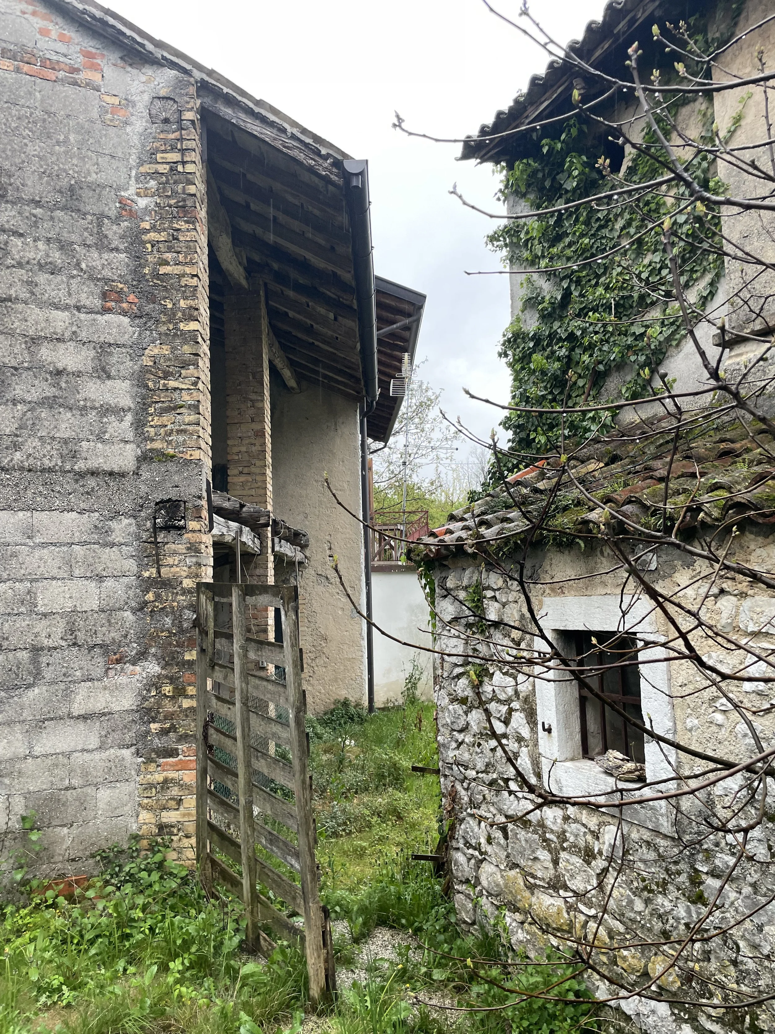 IMG_7368.jpeg