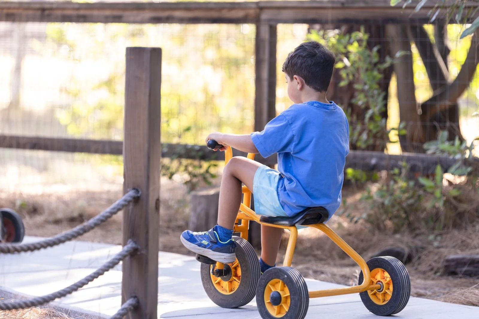 A young boy wearing a blue shirt, light blue shorts, and blue shoes rides a tricycle on a pathway outdoors, with a wooden fence and trees in the background.