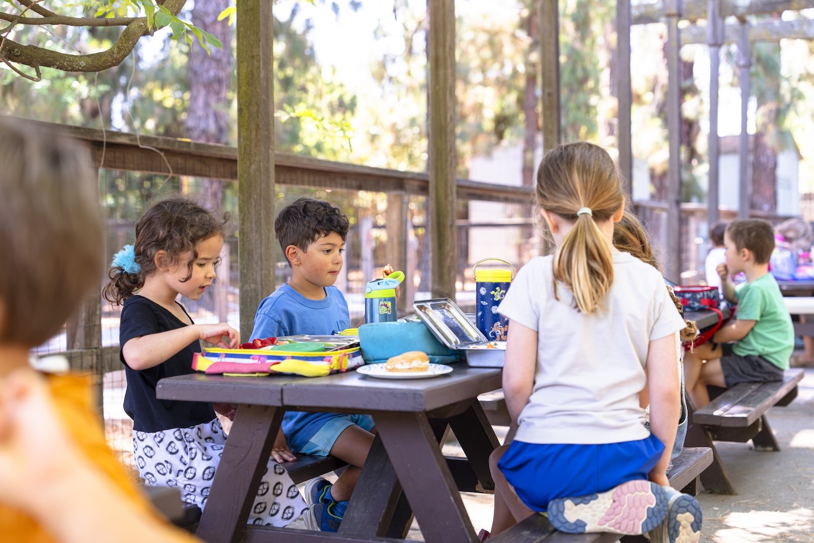 Children sitting at a picnic table outdoors, having snacks and lunch, surrounded by trees and a wooden fence.