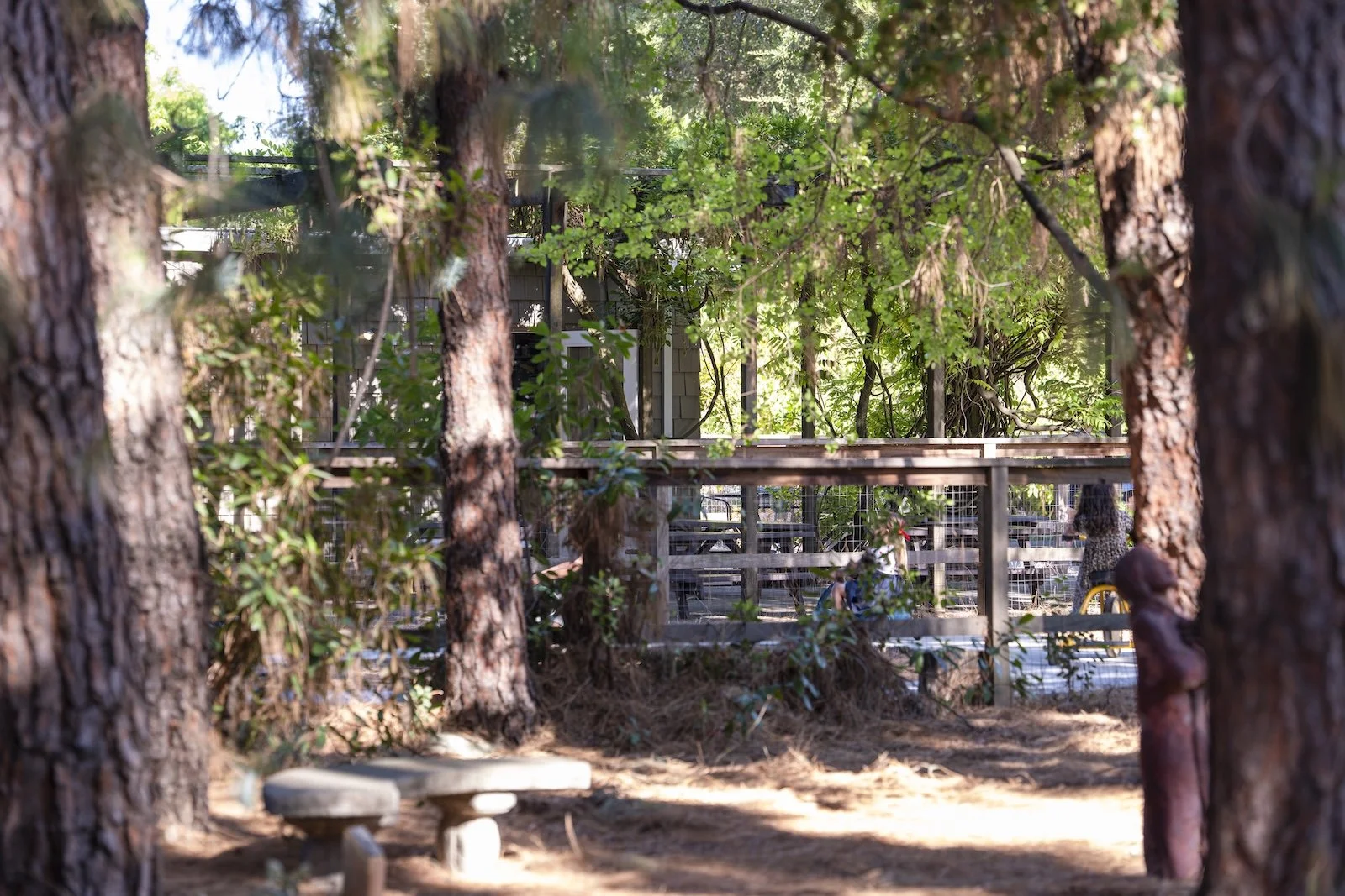 A wooded area with tall trees and a wooden deck or porch structure in the background, partially obscured by branches and foliage.