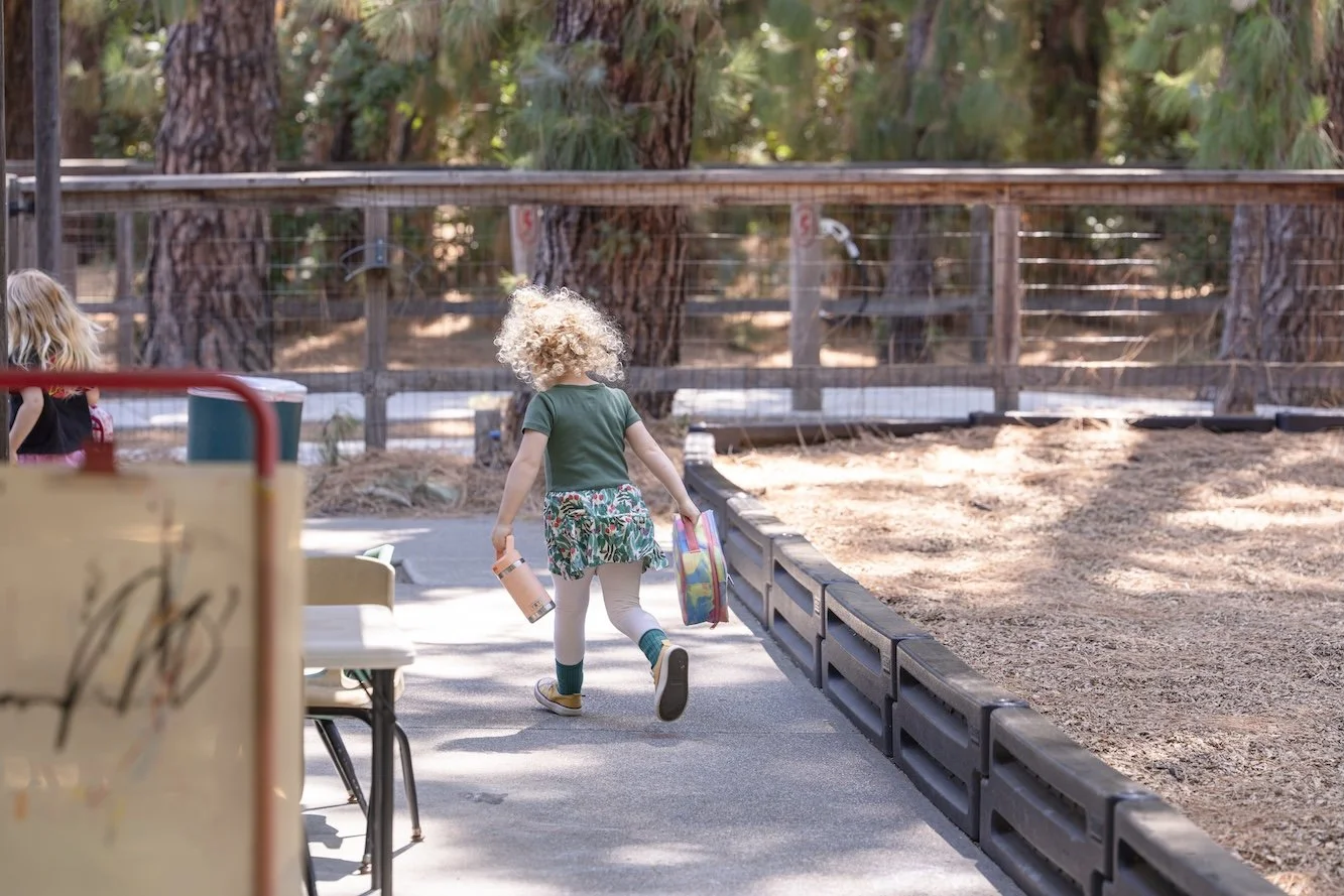 A young girl with curly blonde hair, wearing a green shirt, floral skirt, and beige leggings, walks away carrying a water bottle and a colorful lunchbox on an outdoor paved area enclosed by a wooden fence, surrounded by tall trees.
