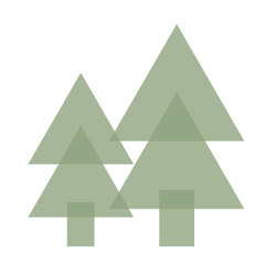 Three stylized green pine trees on a black background.