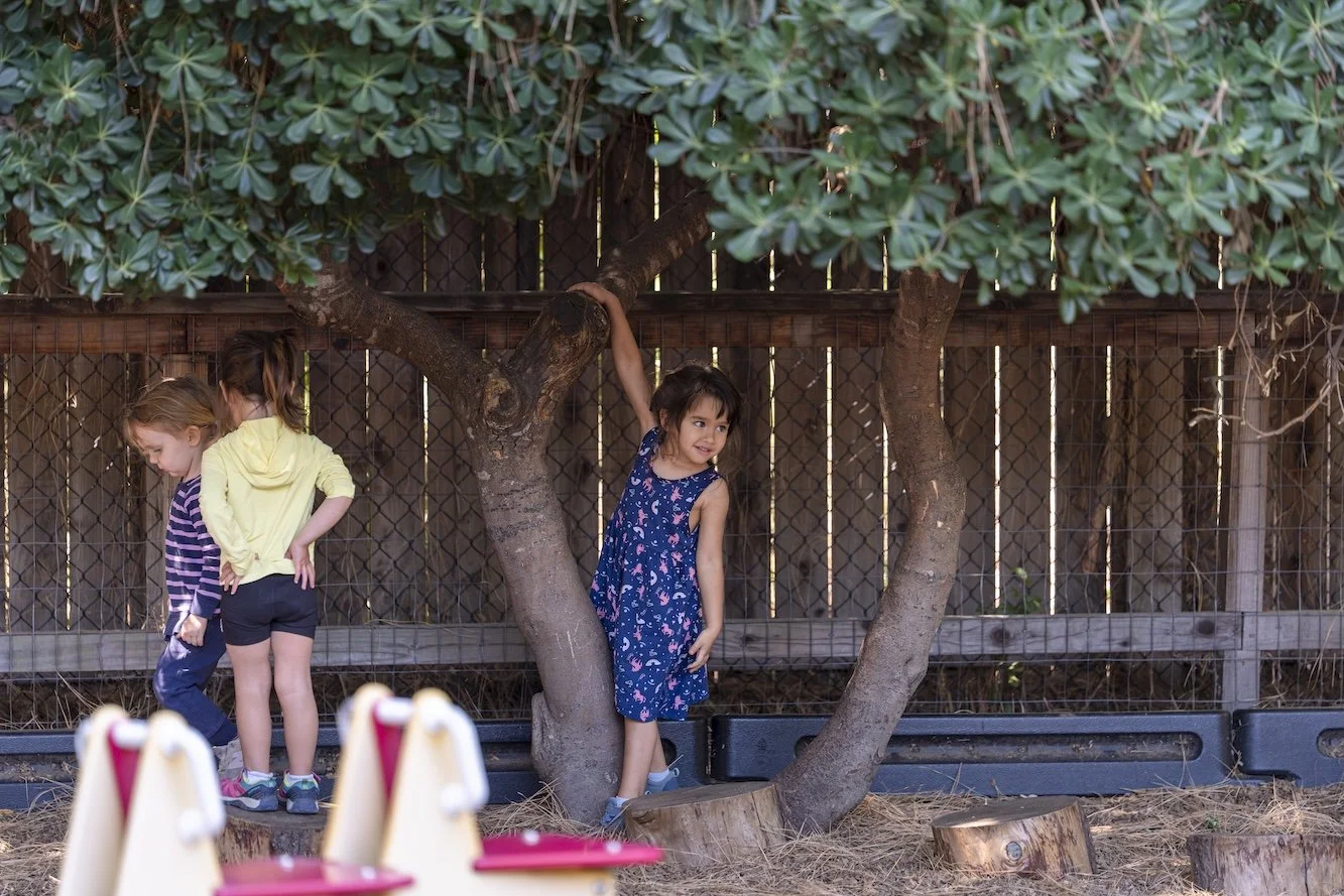 Three young girls playing outdoors near a wooden fence, one girl in a blue dress standing on a tree branch, two girls in striped and yellow hoodies standing close together.