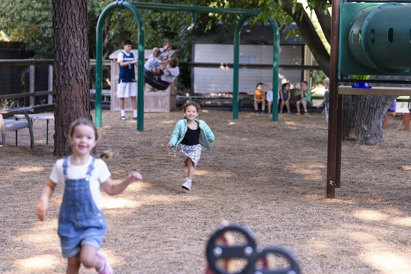 Children playing in a park playground with swinging children, a group of kids sitting on a bench, and trees providing shade.