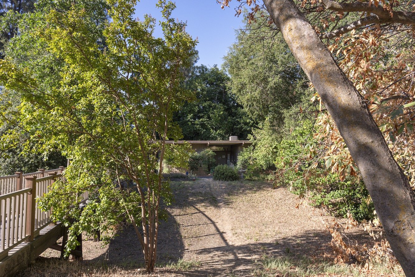 A backyard scene featuring a wooden fence on the left, various green trees and bushes, and a small house or shed in the background. The ground is partly shaded with dry grass and dirt, and the sky is clear and blue.