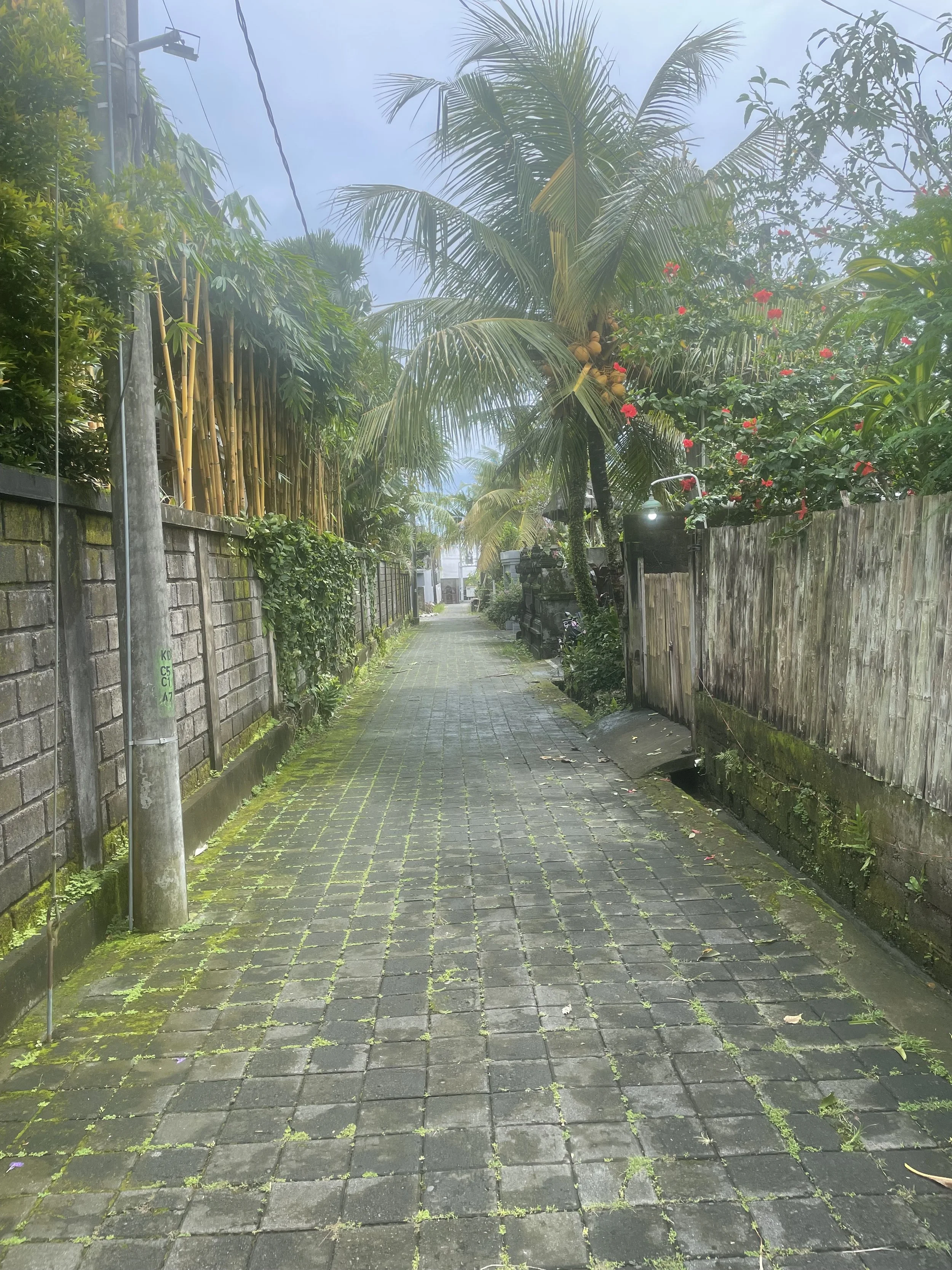 IMG_1503.jpeg