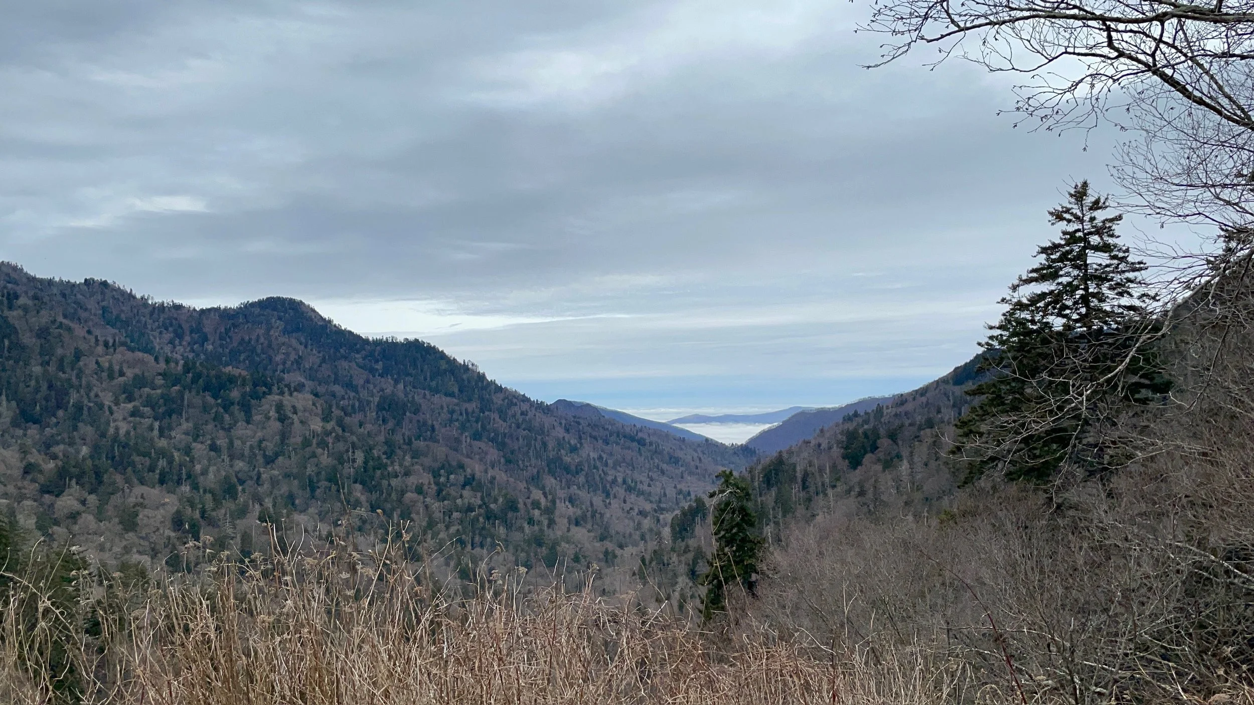 The Best Easy Hikes Near Sevierville for Beginners