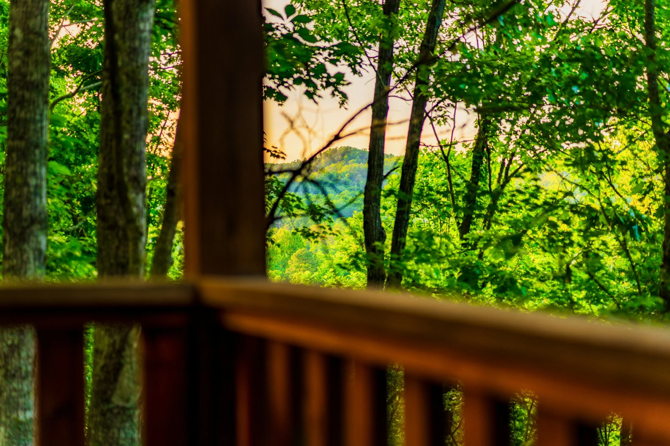 Best Fall Foliage Spots Near Blue Sage Hideaway