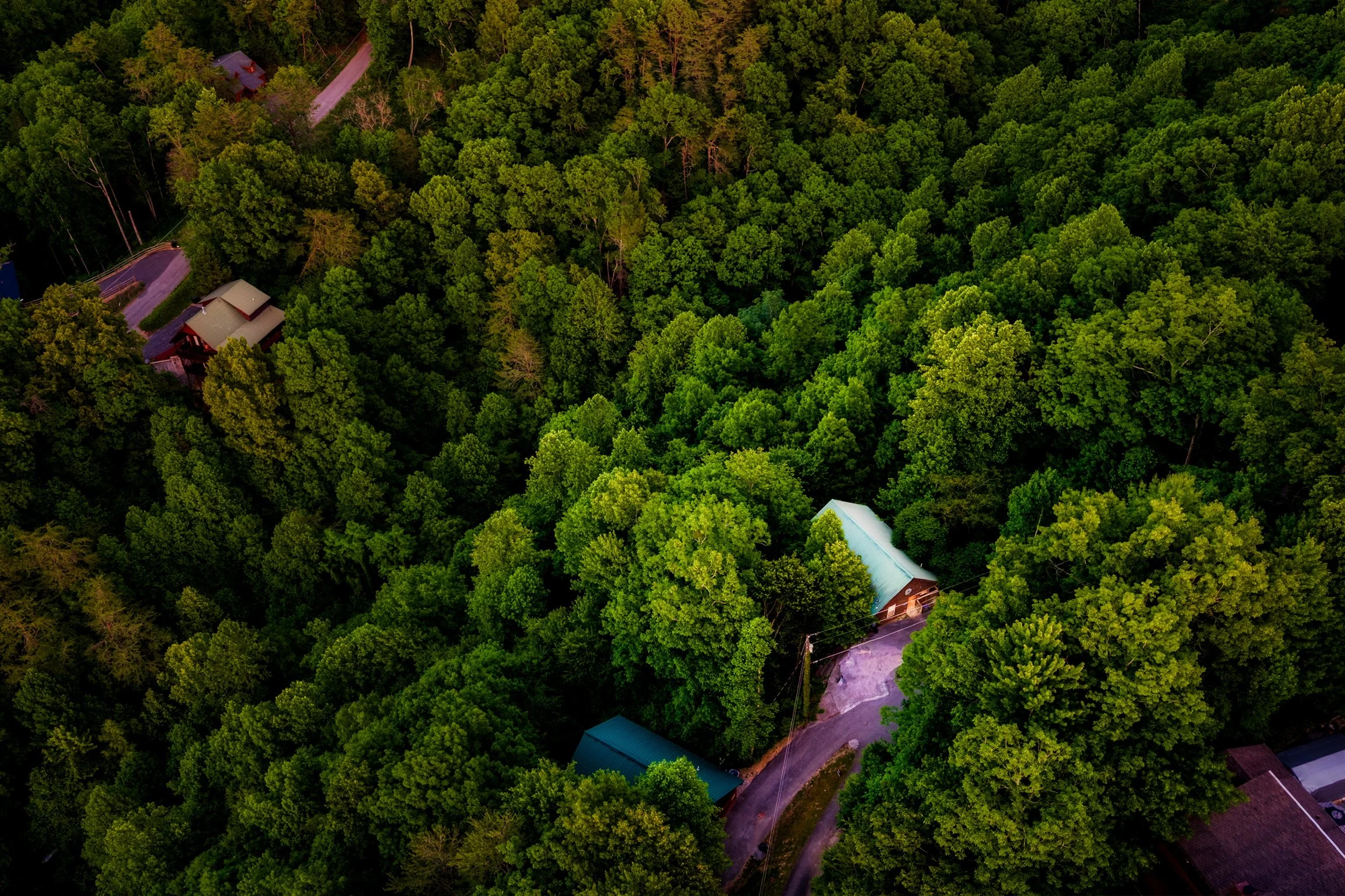 Aerial view of Blue Sage Hideaway in Sevierville Tennessee surrounding forest and road