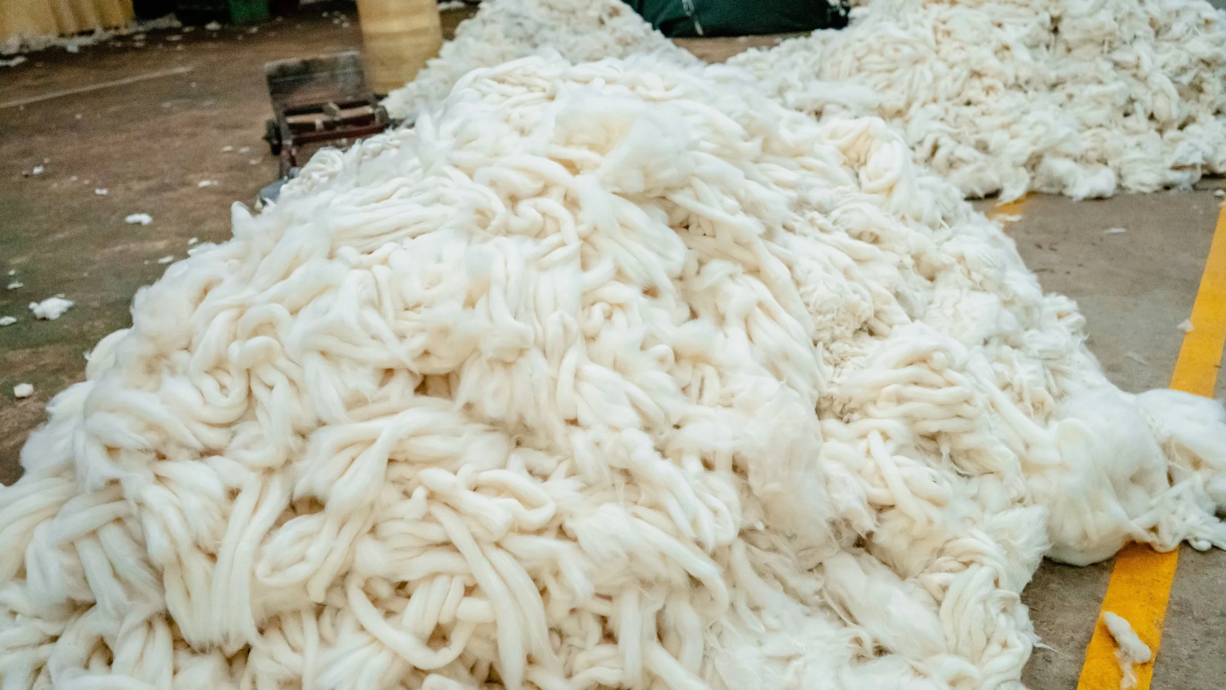 Large piles of raw, unprocessed cotton fibers on the ground in a textile or cotton processing facility.