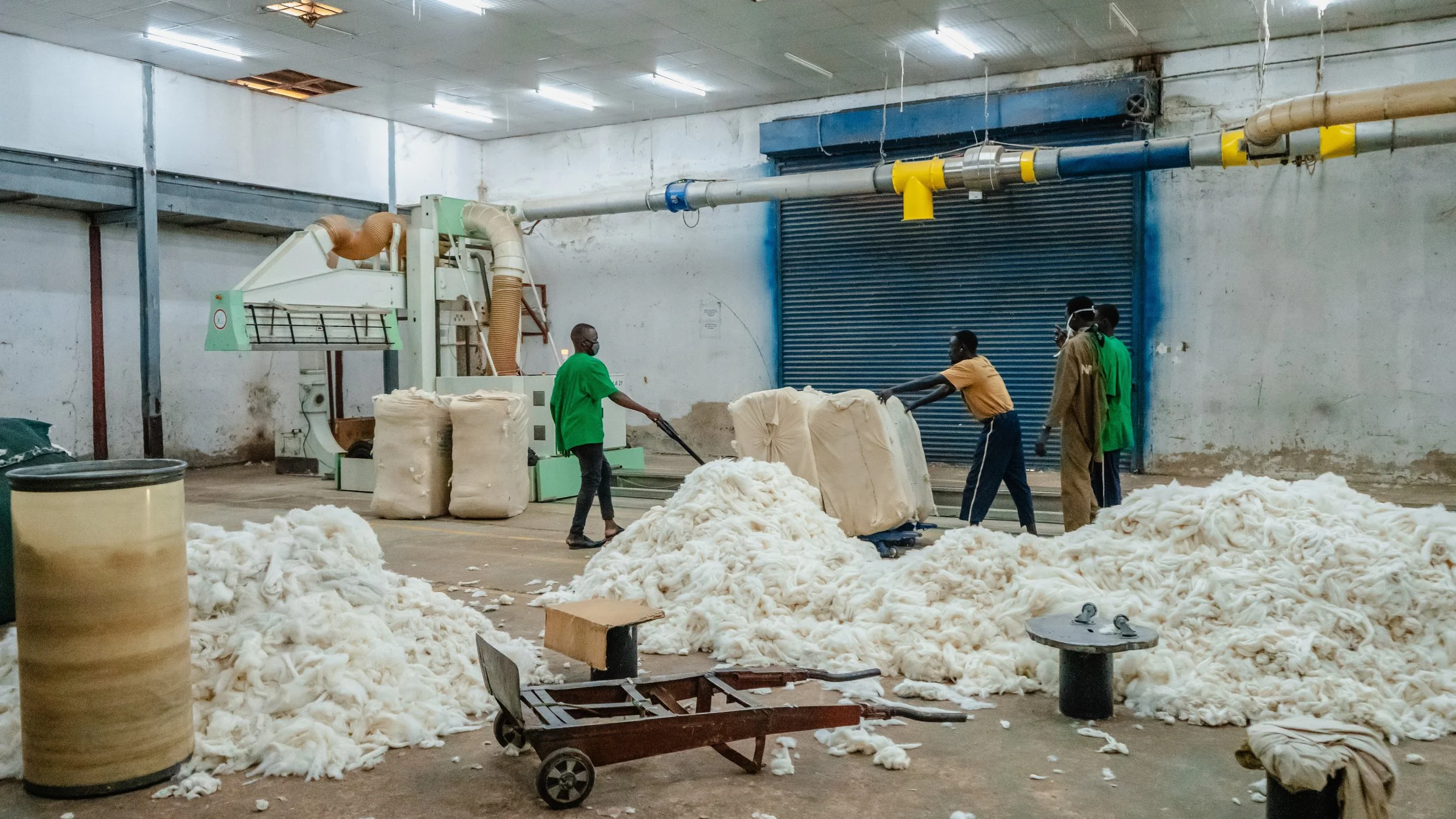 Workers handling raw cotton in an industrial facility, with cotton scattered on the floor and machinery in the background.