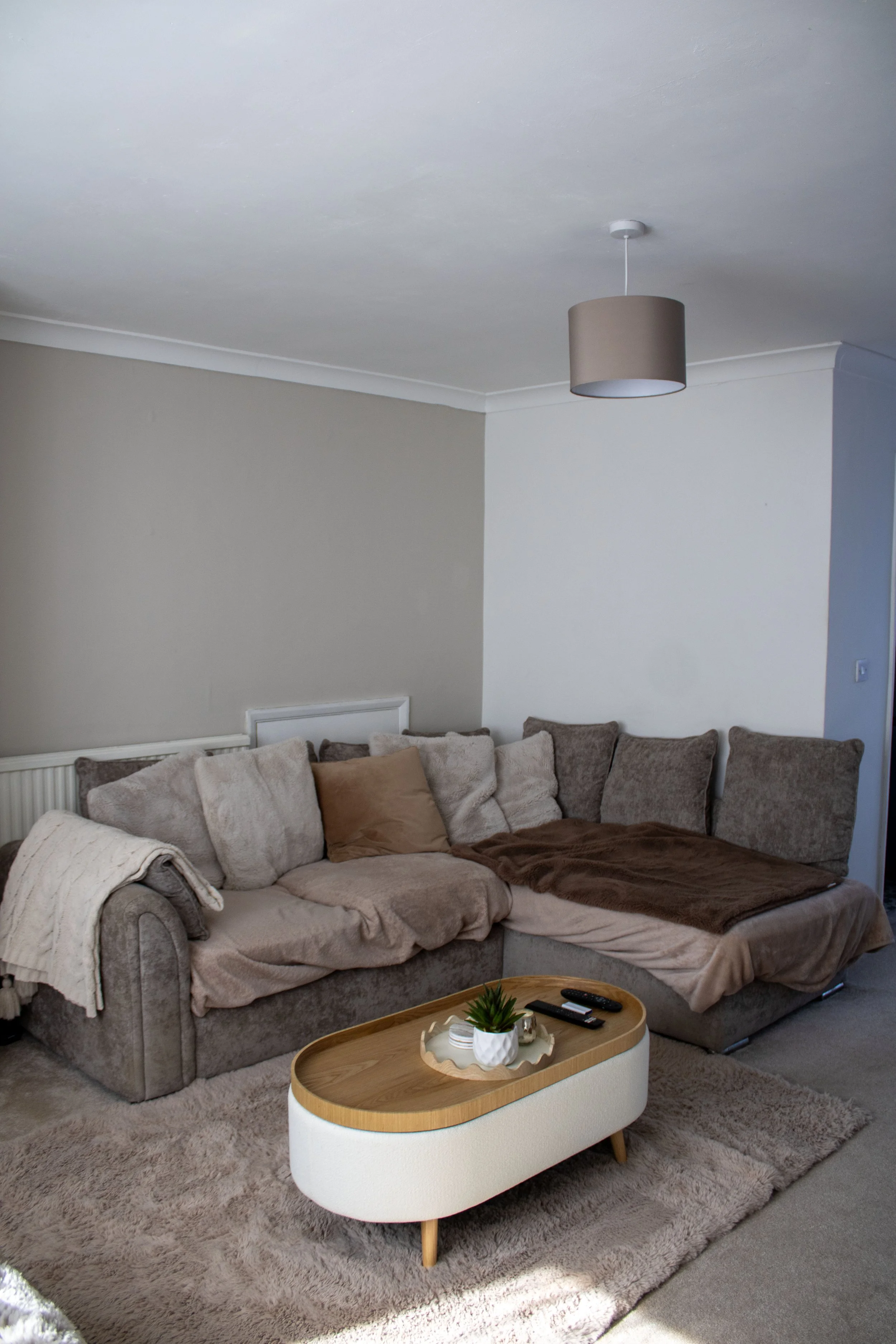 Living room with a beige couch covered with various pillows and blankets, a small oval coffee table with a potted plant and remote controls, a large beige rug, and a simple ceiling light fixture.