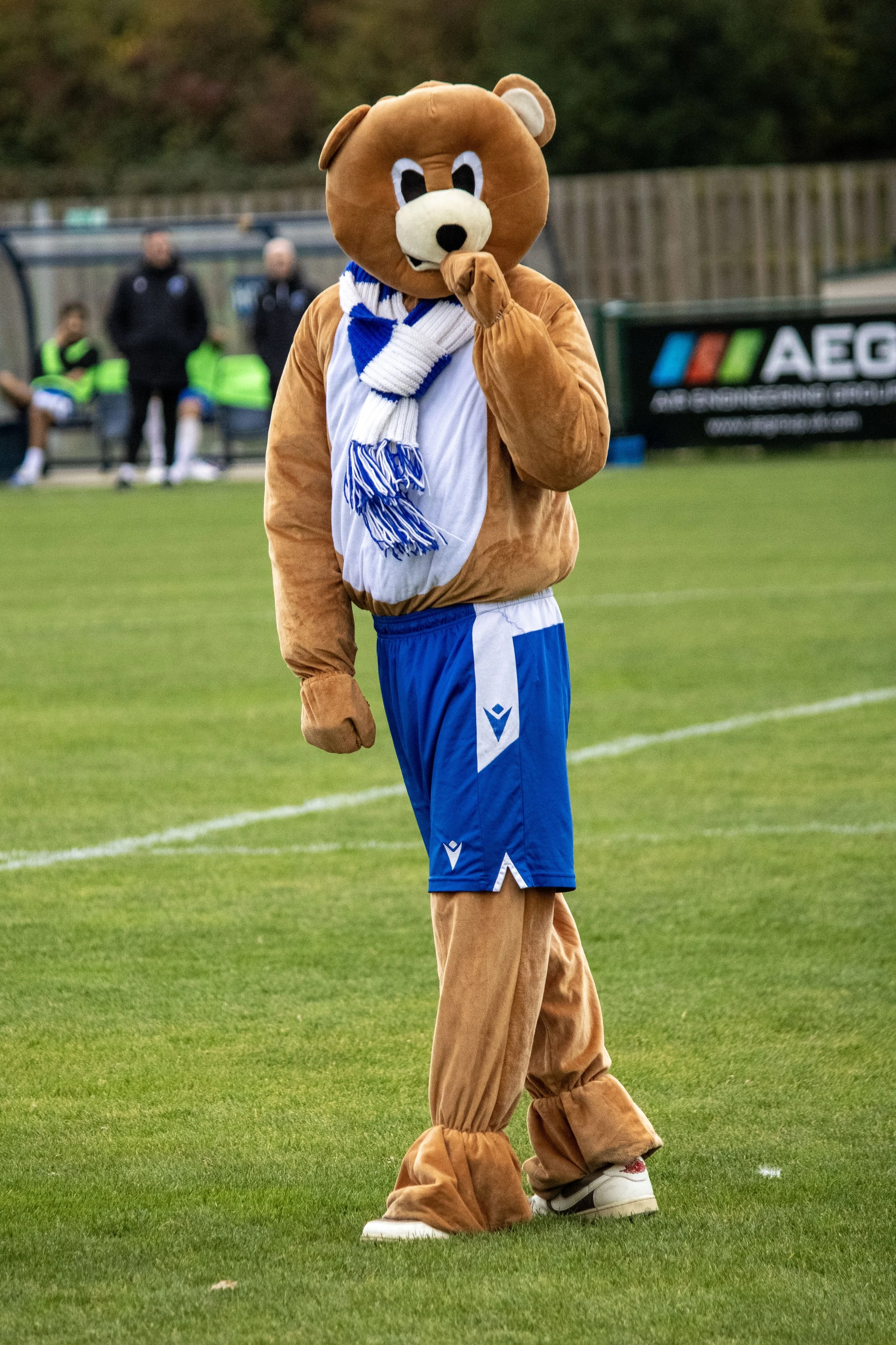 IMG_0128 copy.jpg