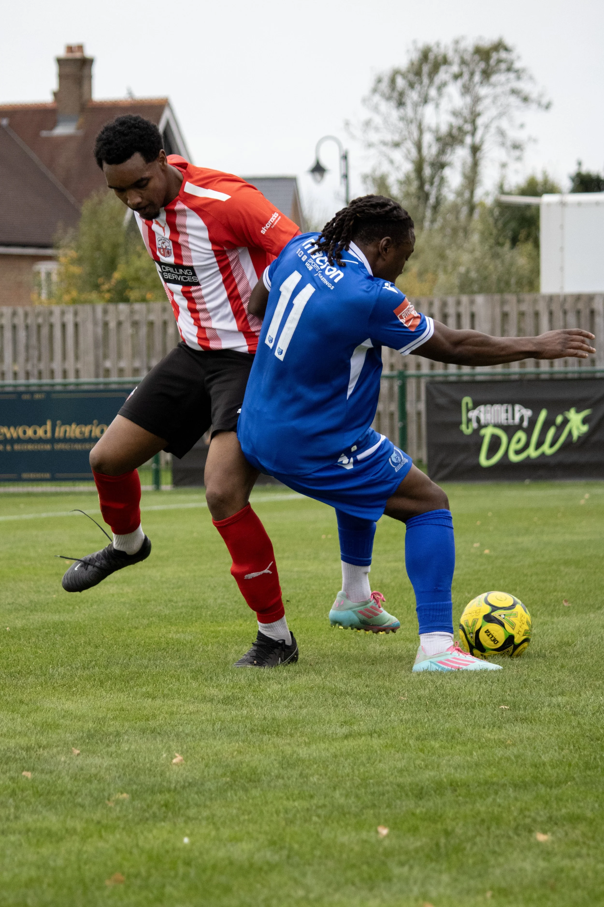 IMG_0309 copy.jpg