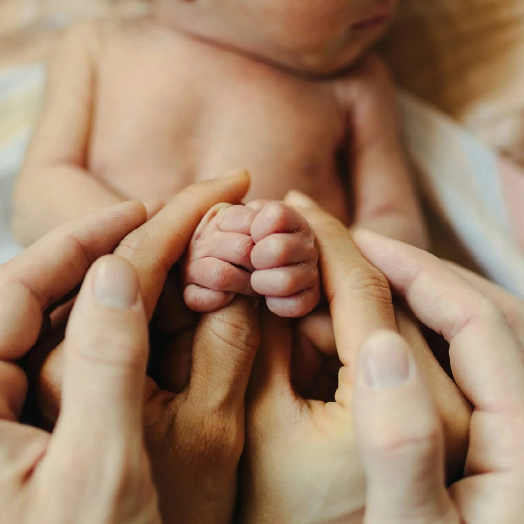 A close-up of a newborn baby holding an adult's fingers, with a focus on the tiny baby's hand clasping the adult's fingers, and part of the baby's face and body visible in the background.