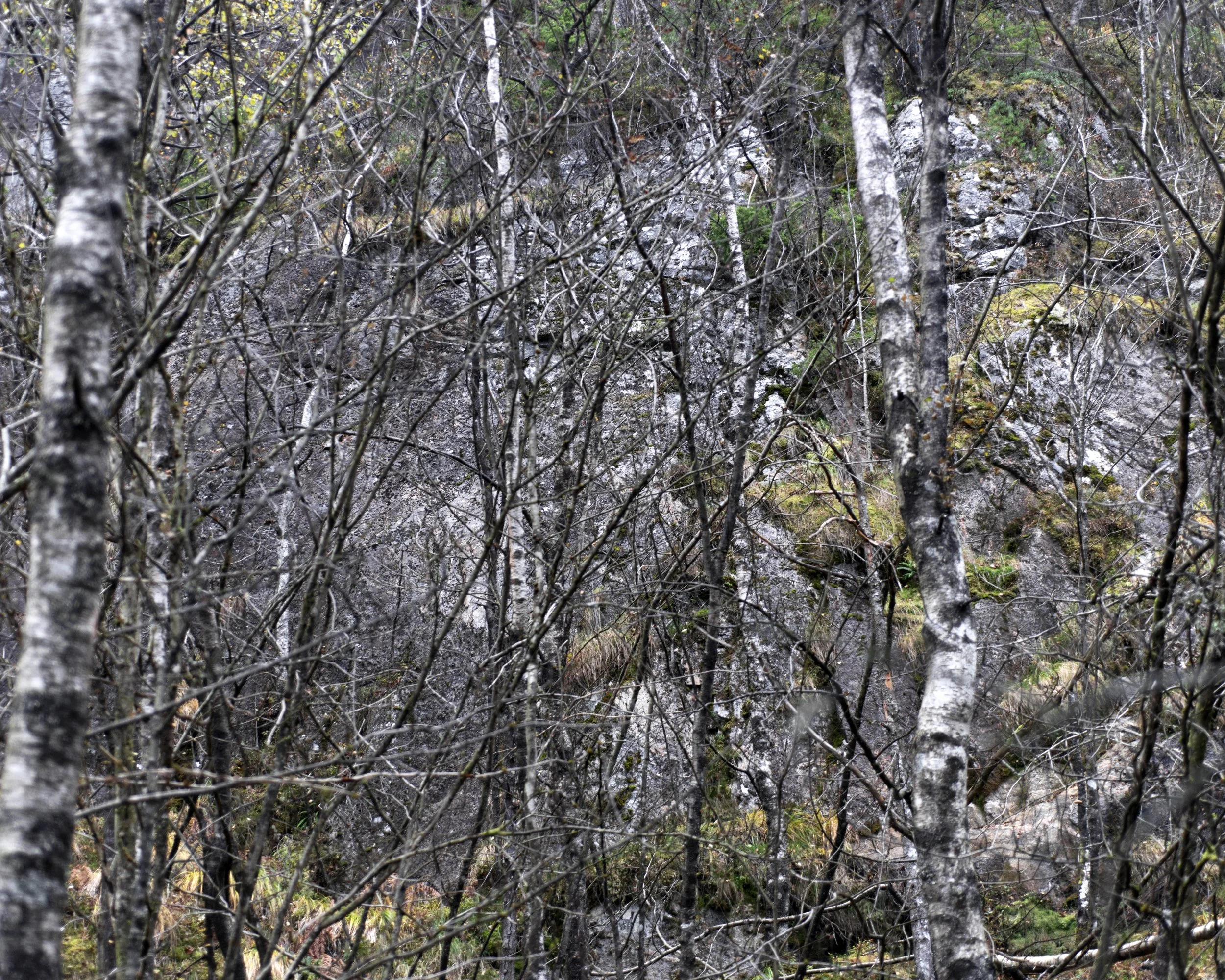_DSC8798.jpg