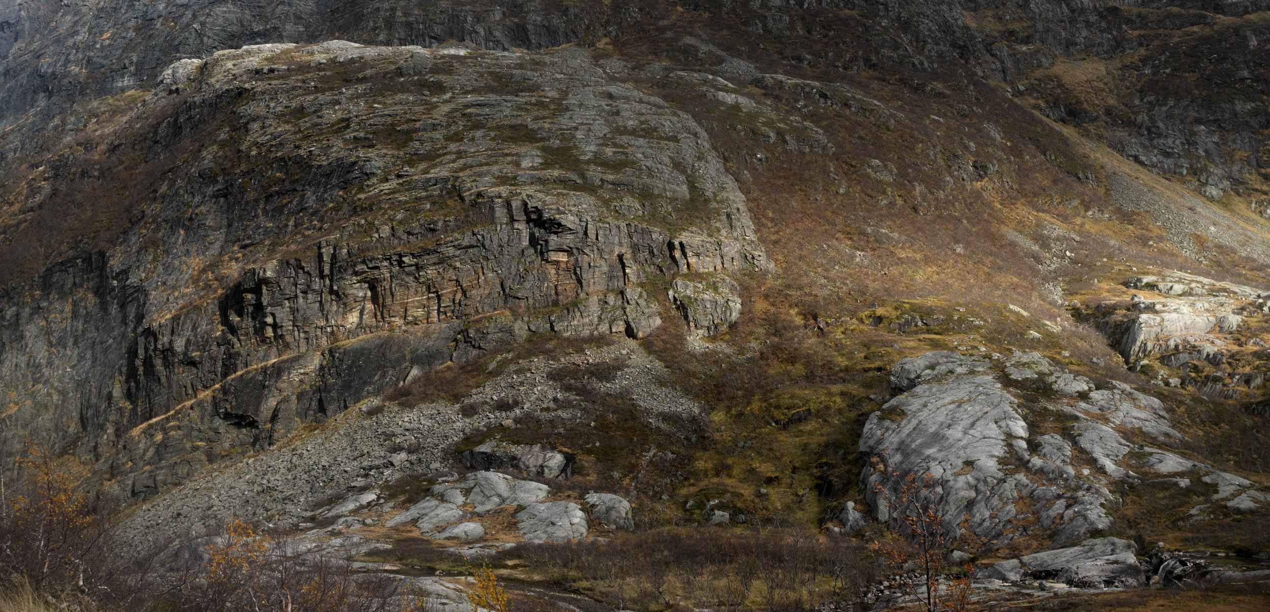 _DSC8614.jpg