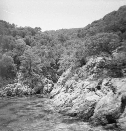 Scan 8.jpg