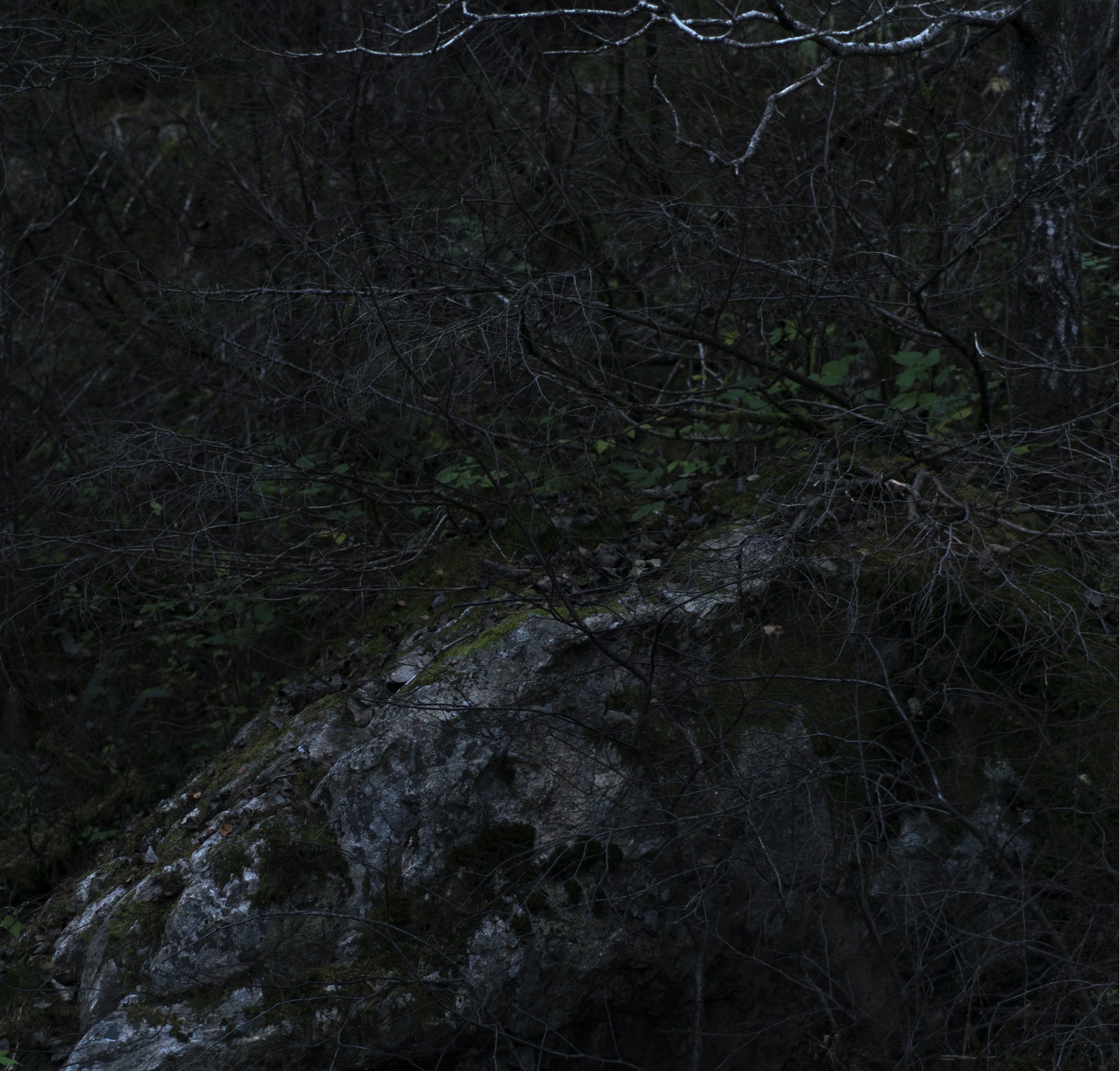 Foto.1.100x95,65cm.jpg
