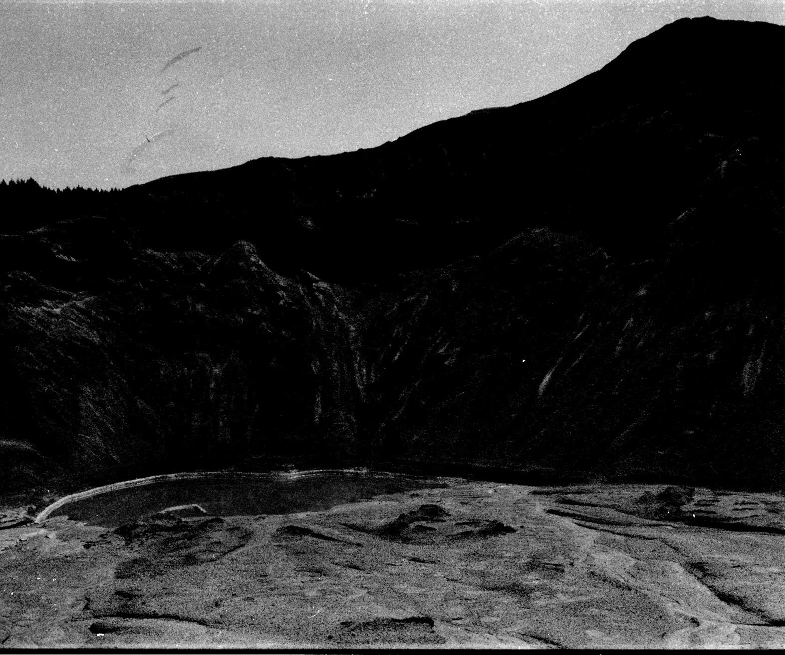 Scan 7.1.jpg