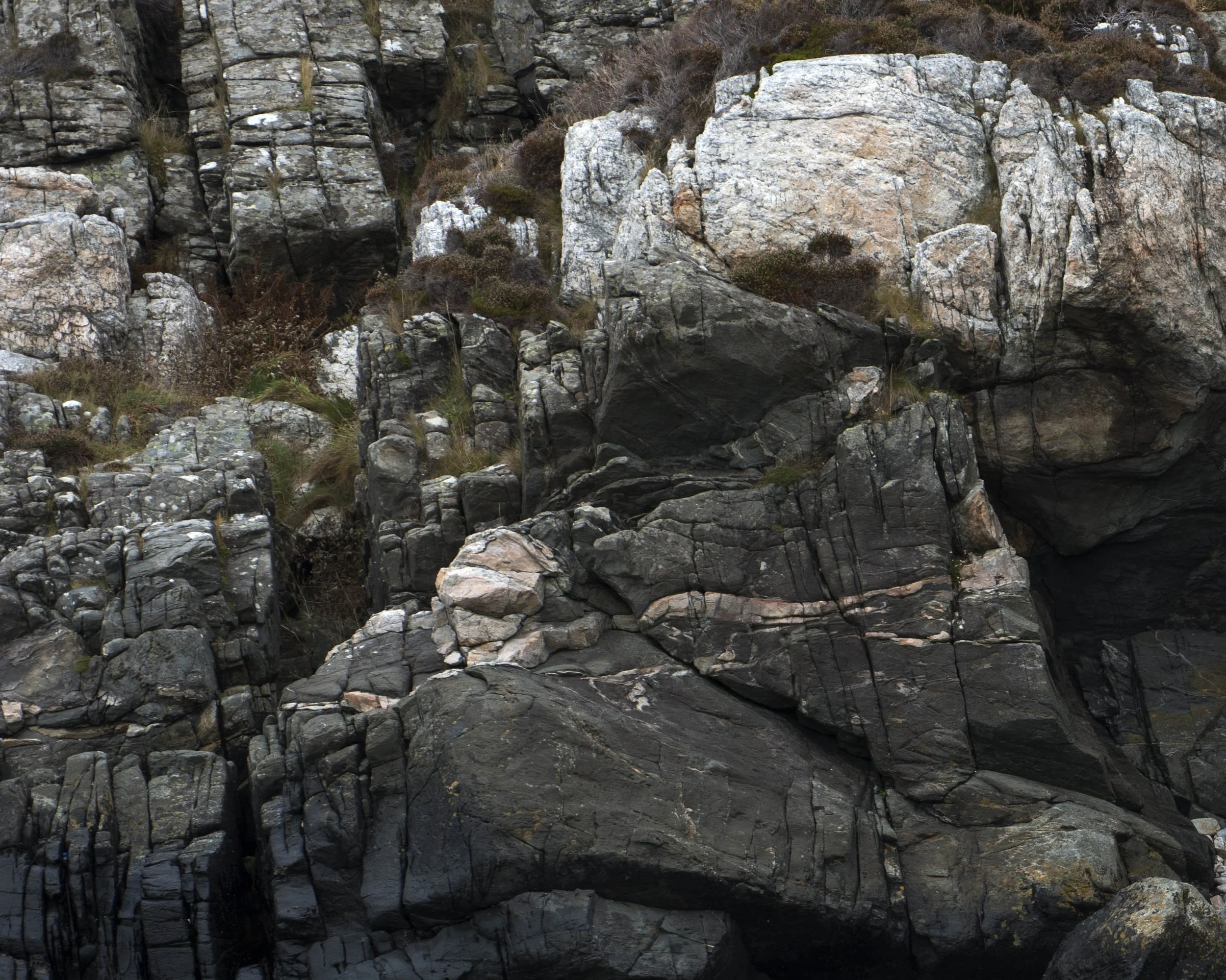 _DSC8770.jpg