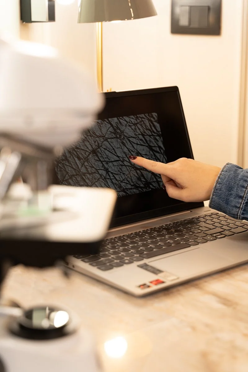 Schermo di un laptop con una mano che tocca uno schermo con un disegno di alberi spogli, illuminato da una lampada da tavolo.