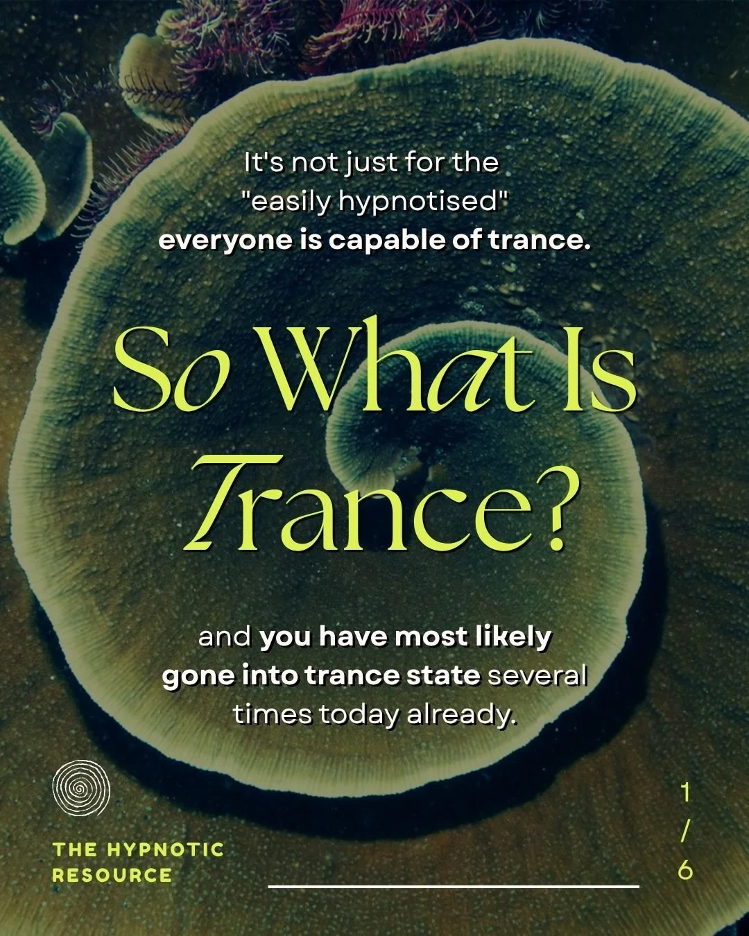 Close-up of a sea creature, possibly a sea anemone or coral, with overlaying text about trance and hypnosis.
