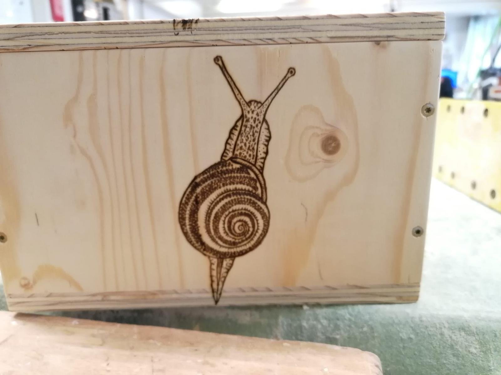 Snail