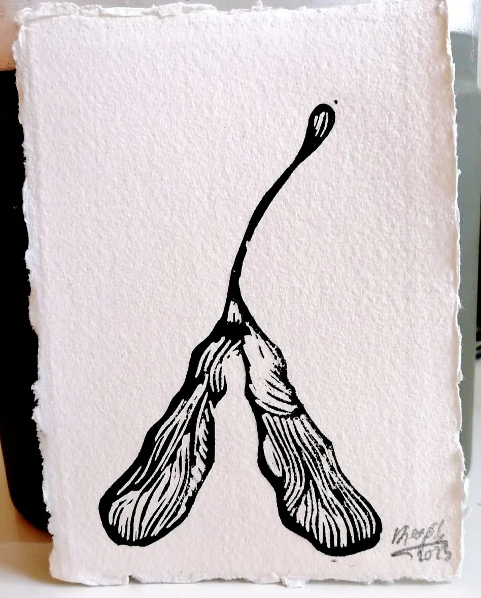 Maple Seed