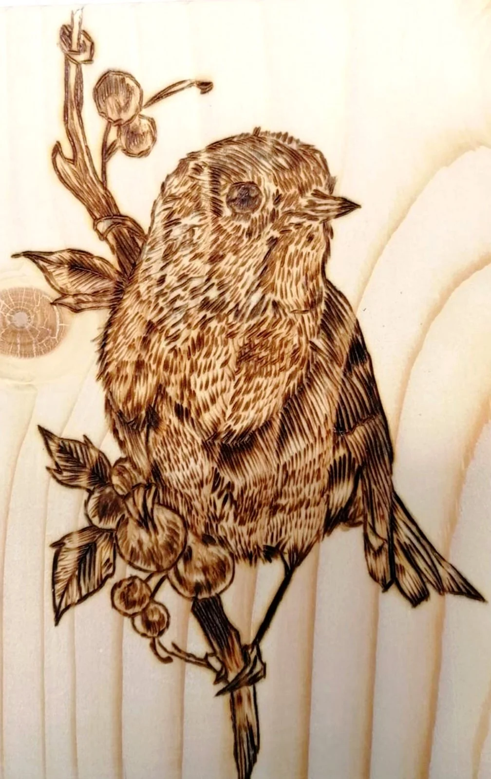 Bird on Branch