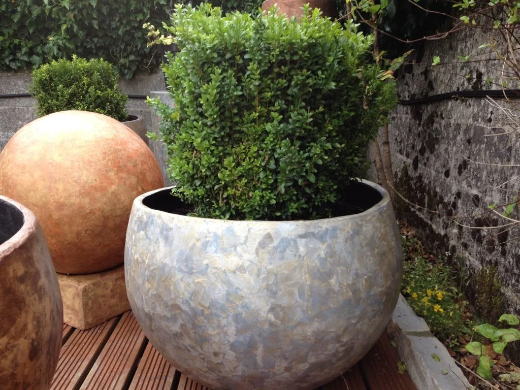 Large decorative planter with a green shrub, surrounded by other planters and outdoor garden elements.