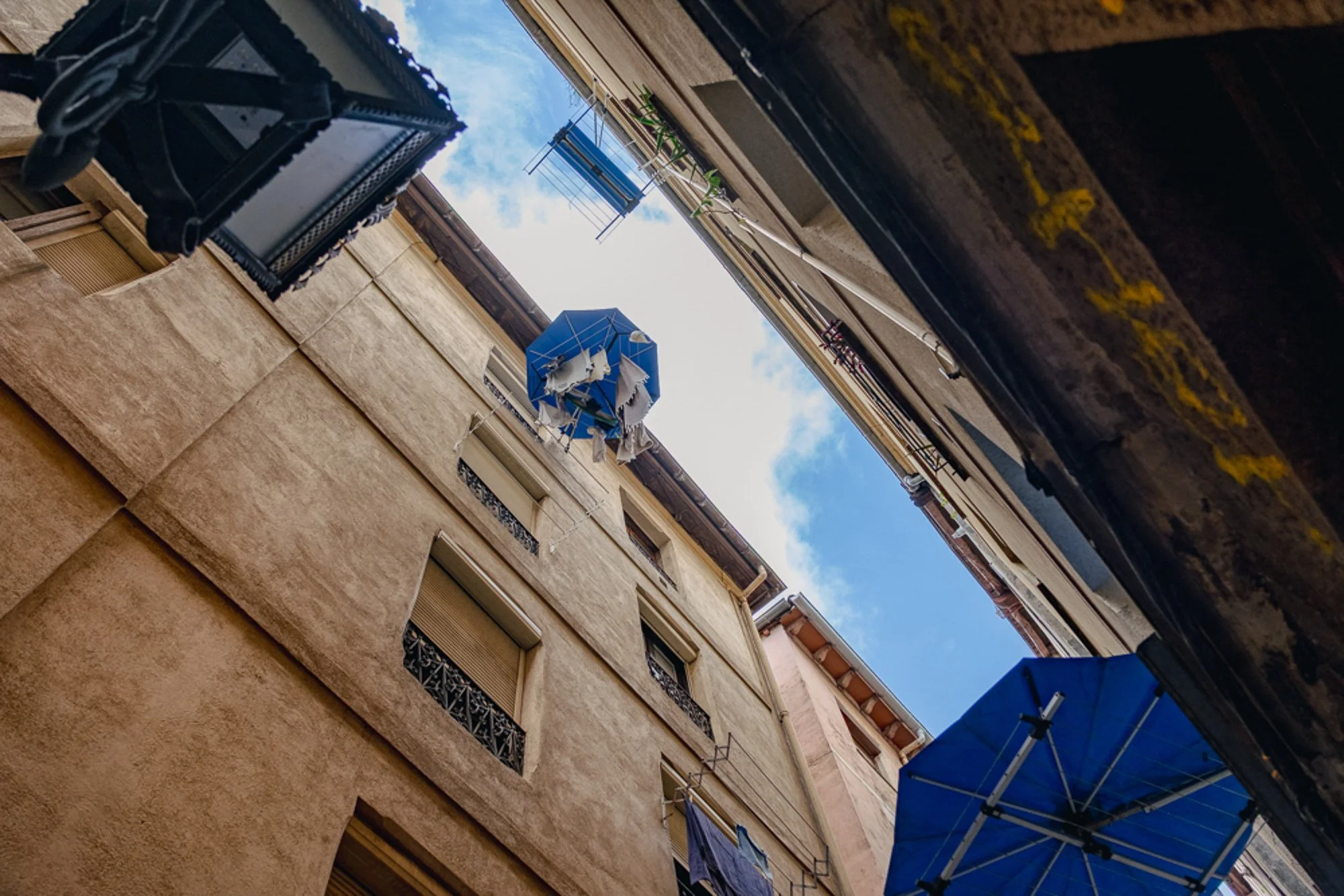 DSCF8522.jpg
