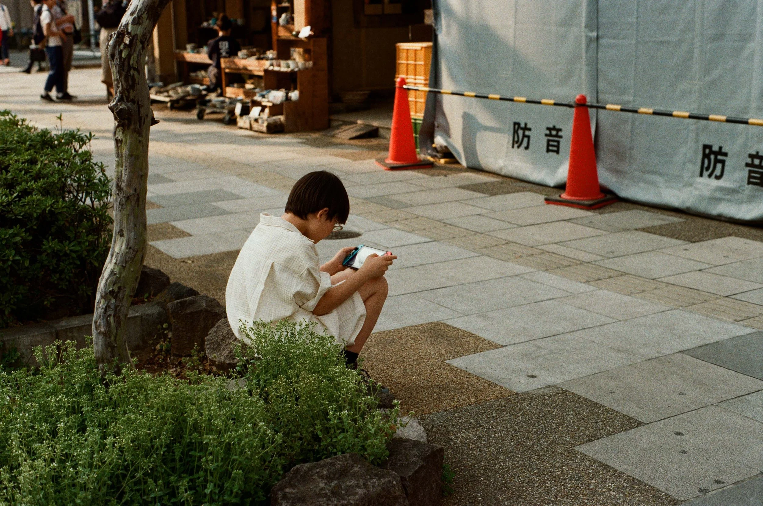 0015-84dc0.jpg
