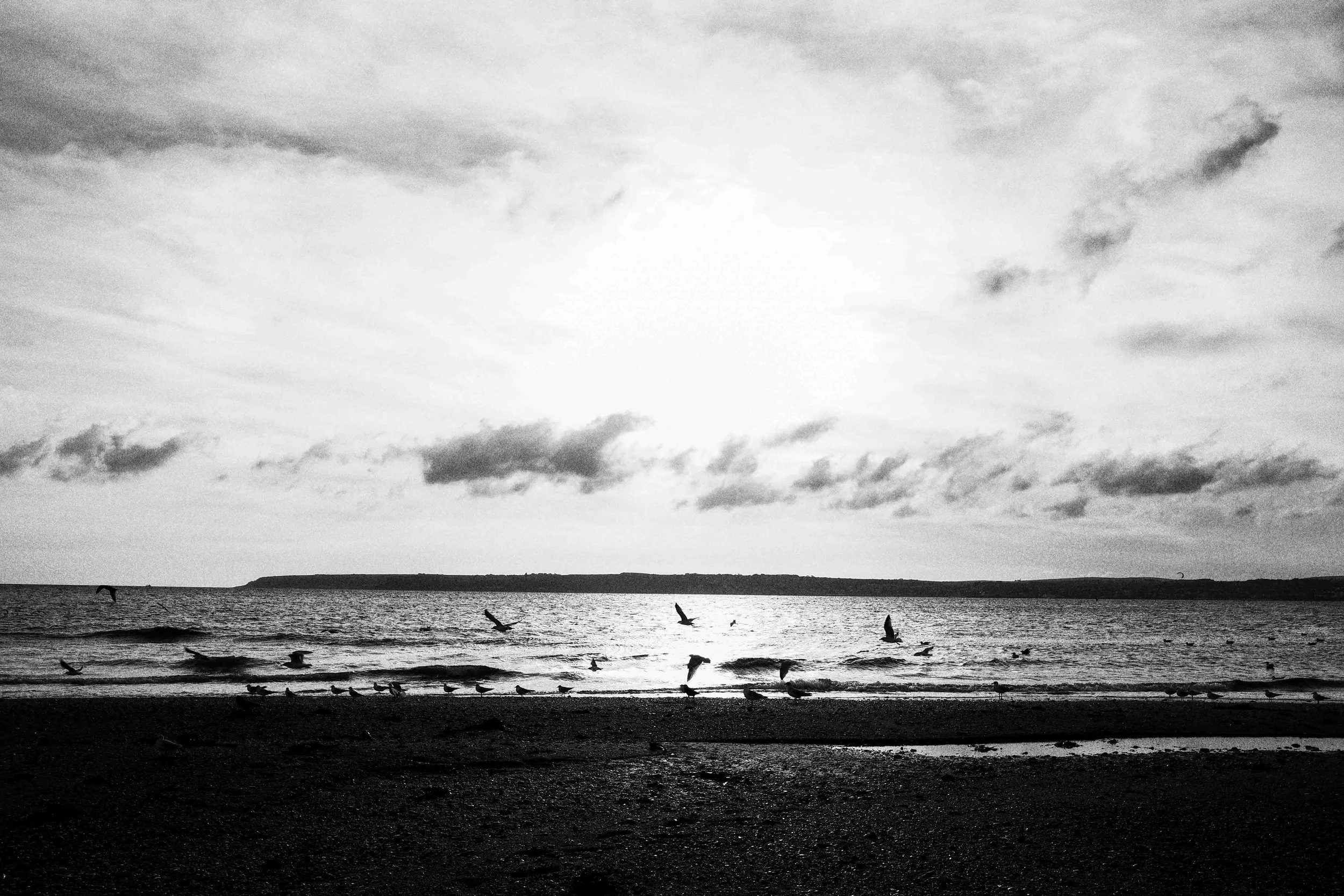 Black and white photograph of a beach with seagulls on the shore and flying over the water, with a cloudy sky and a distant landform in the background.