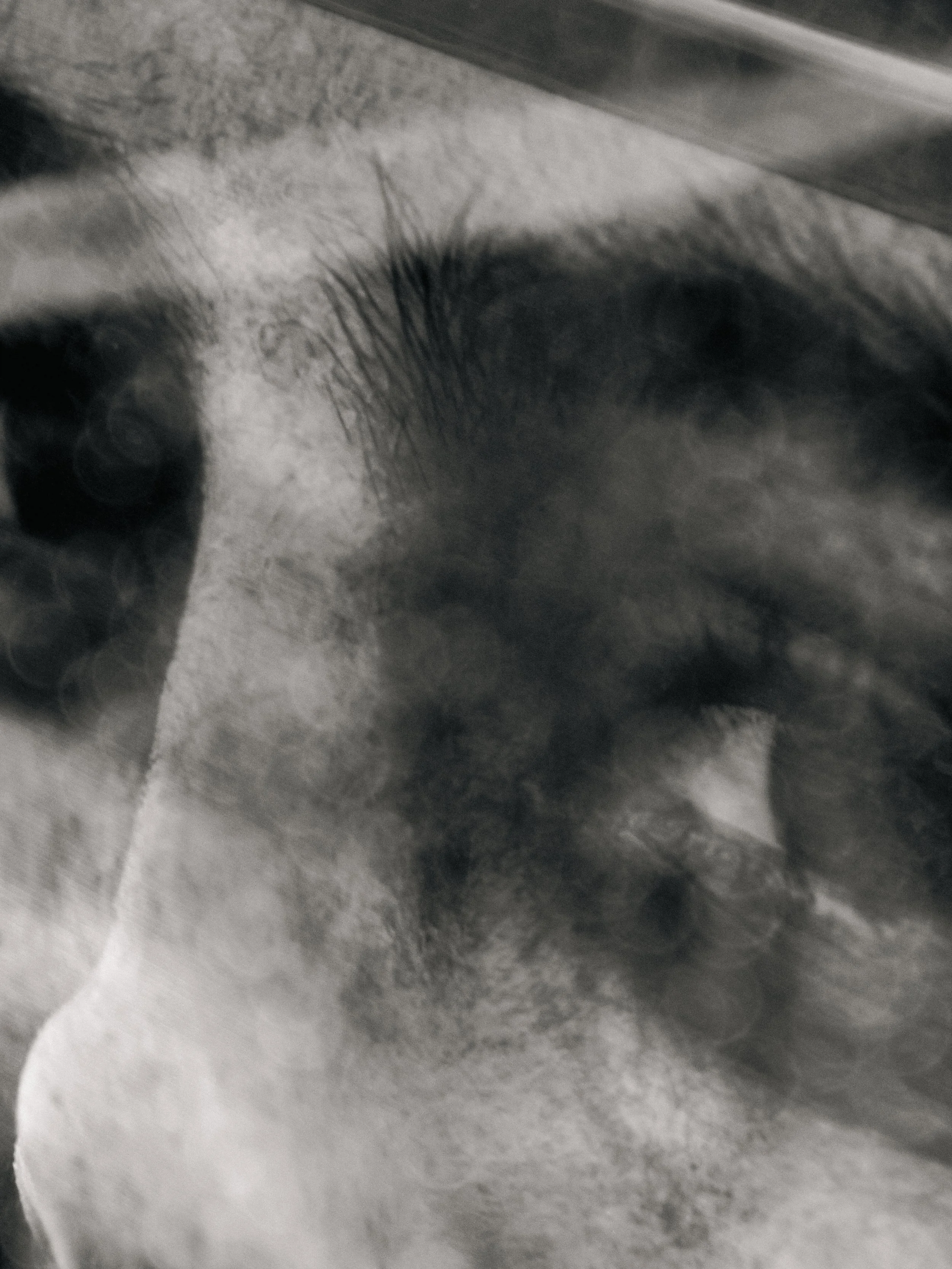 Close-up of a human eye with long eyelashes, surrounded by a blurred background.