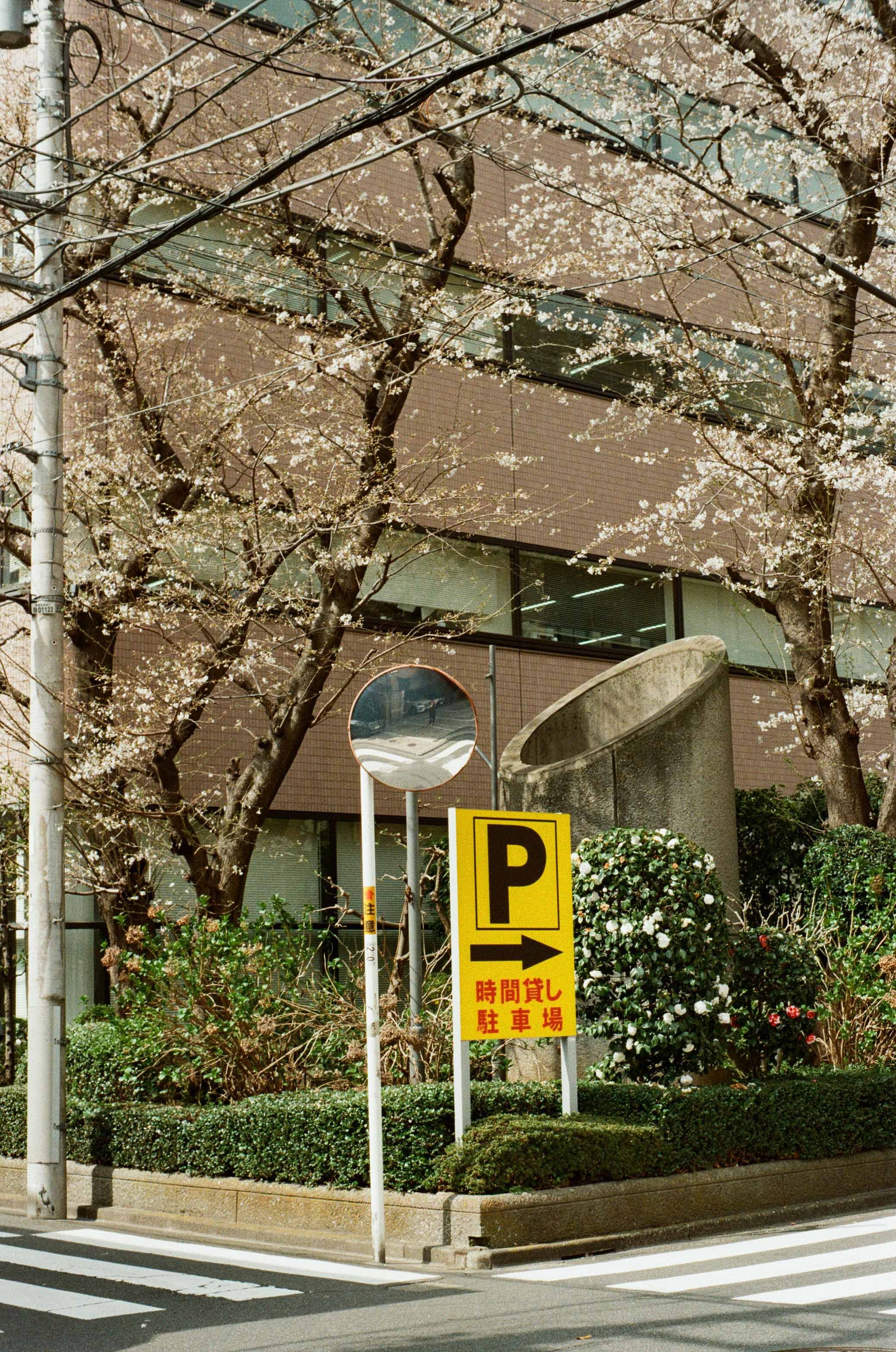 0018-80ddd.jpg