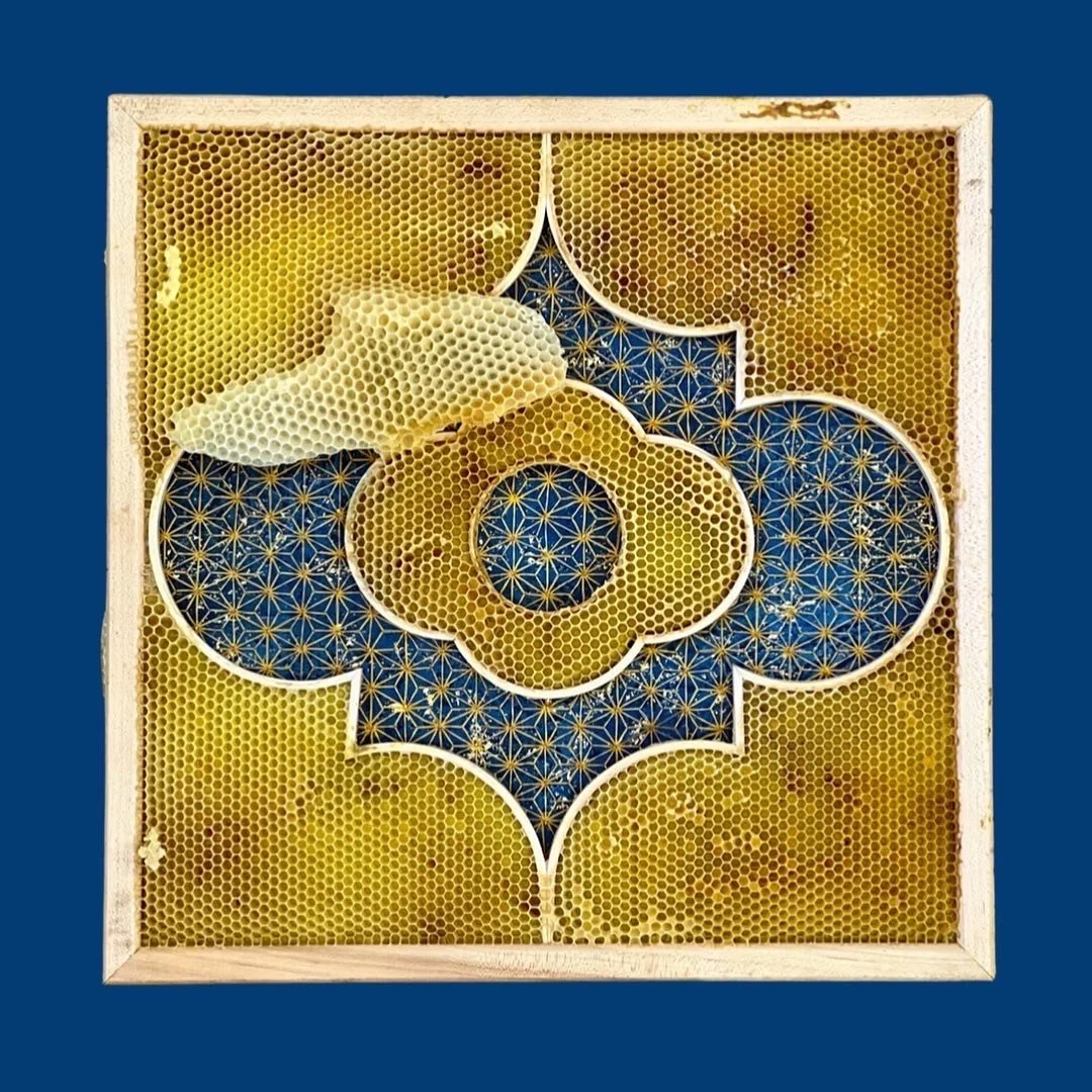  Honeycomb Collaboration: Ithra 
Japanese paper, encaustic, gold leaf, embroidery floss, natural honeycomb on wood panel