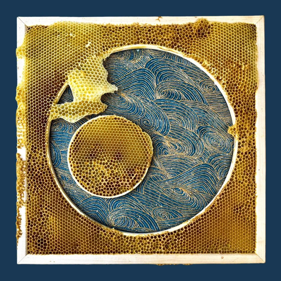  Honeycomb Collaboration: Hoops and Waves 
Japanese paper, encaustic, metallic embroidery floss, gold leaf, embroidery hoops, natural honeycomb on wood panel