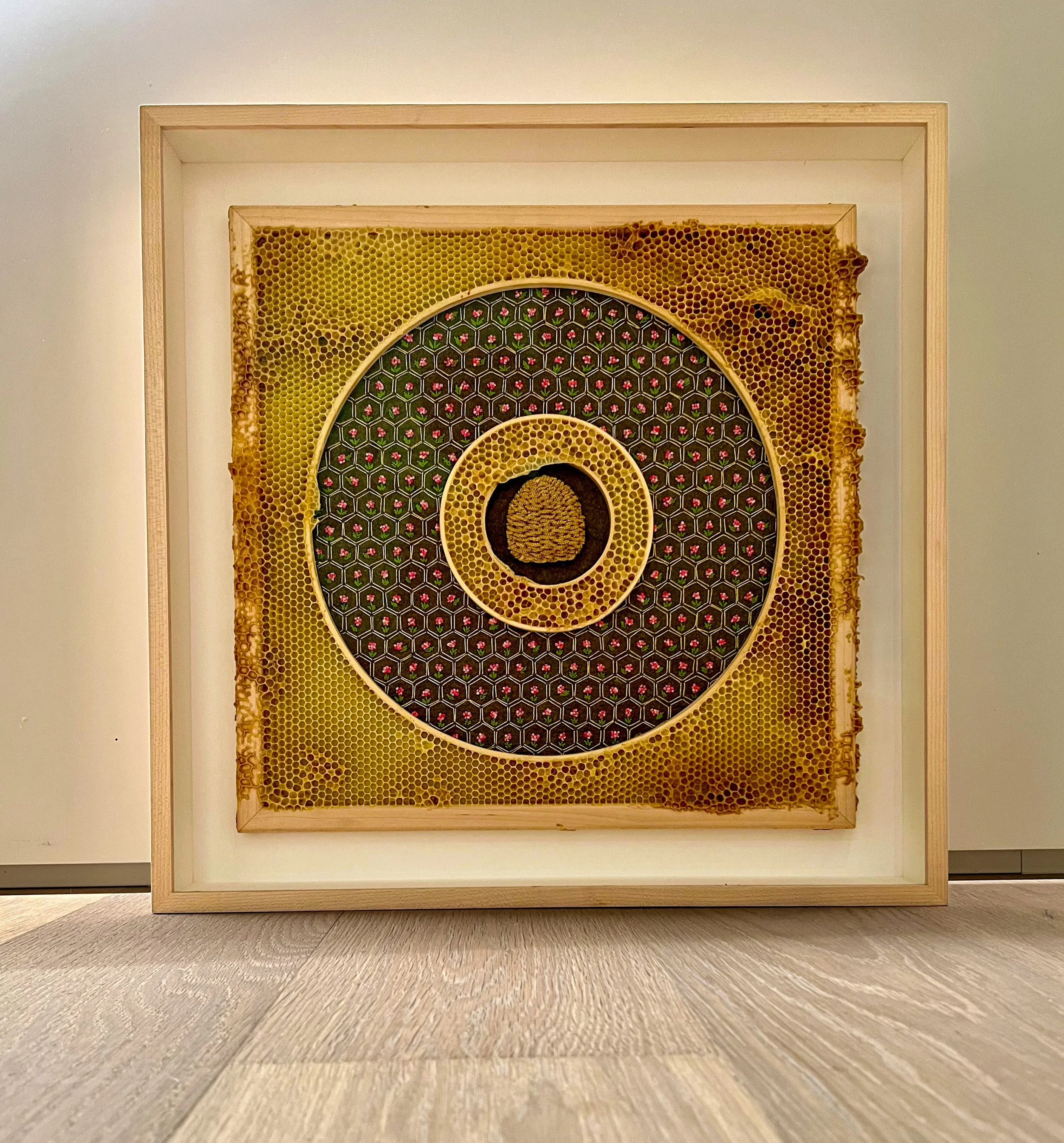  Honeycomb Collaboration: Bee Hive 
Japanese paper, encaustic, embroidery floss, silk cord, embroidery hoops, natural honeycomb on wood panel