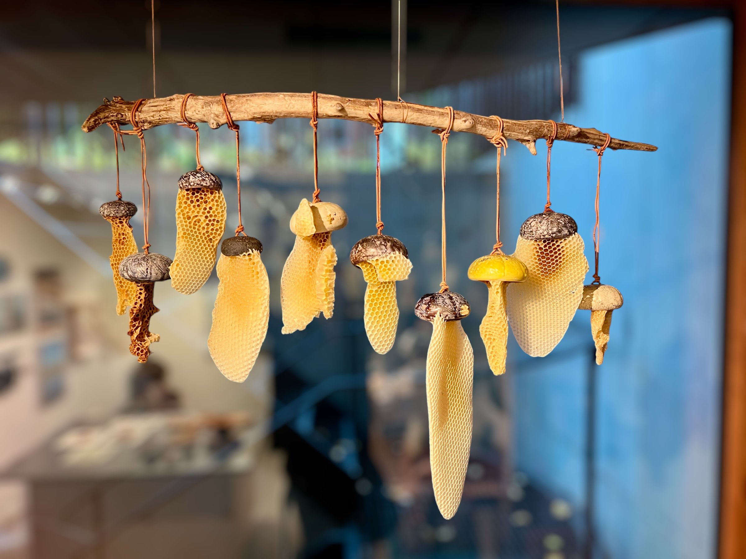  Mobile with Ceramic Pods 
Ceramics cups by Satoshi Yoshikawa, suede cord, branch and natural honeycomb