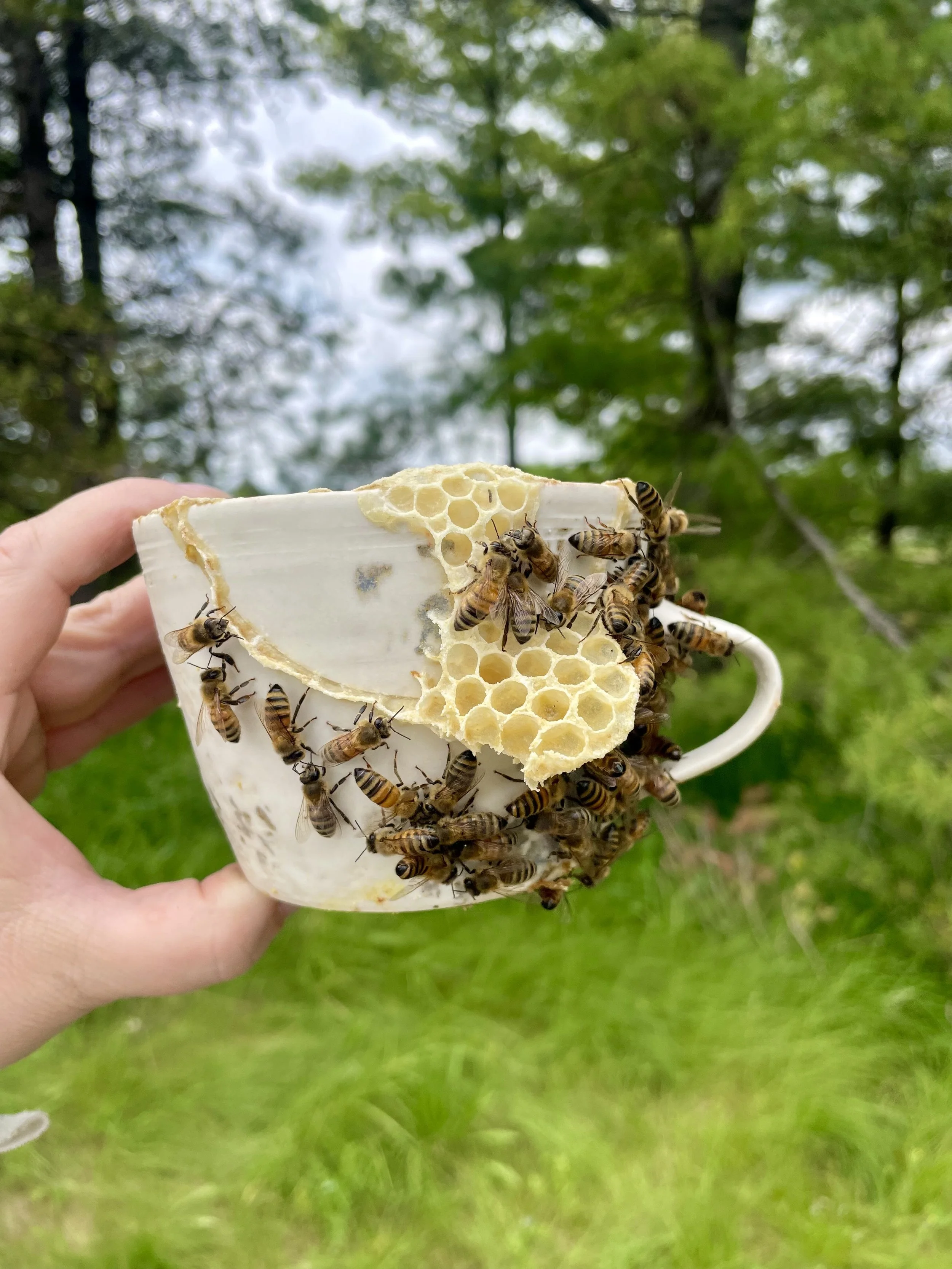  Kintsugi/Kintsu-Bee Cup 
Ceramic cup by Satoshi Yoshikawa and natural honeycomb