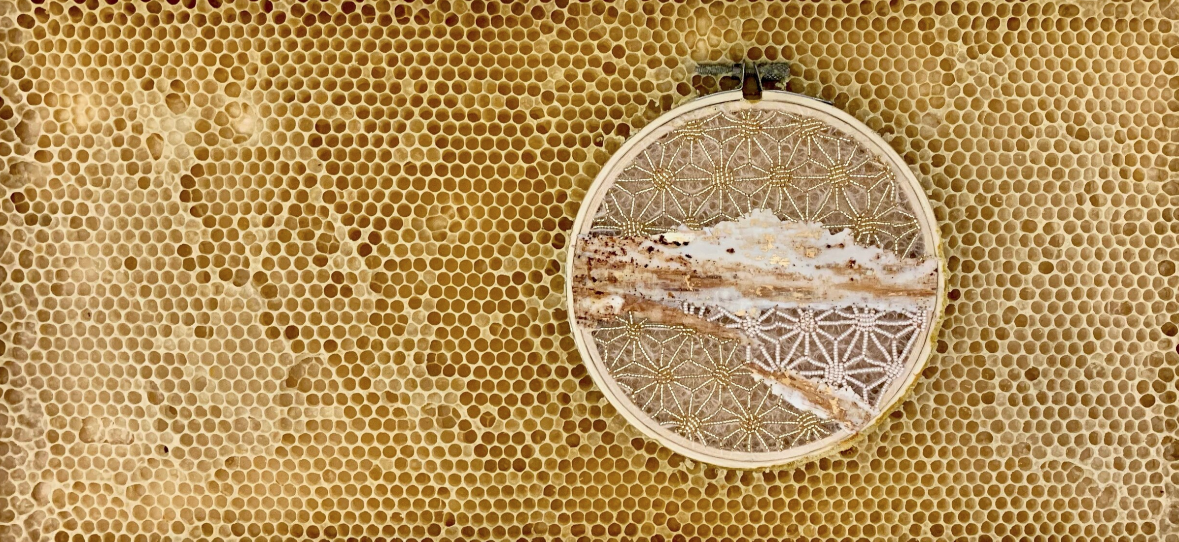  Honeycomb Collaboration: Gold and White with Birch Bark 
Japanese paper, encaustic, birch bark, gold leaf, oil paint, seeds beads, embroidery floss, embroidery hoop, natural honeycomb on wood panel