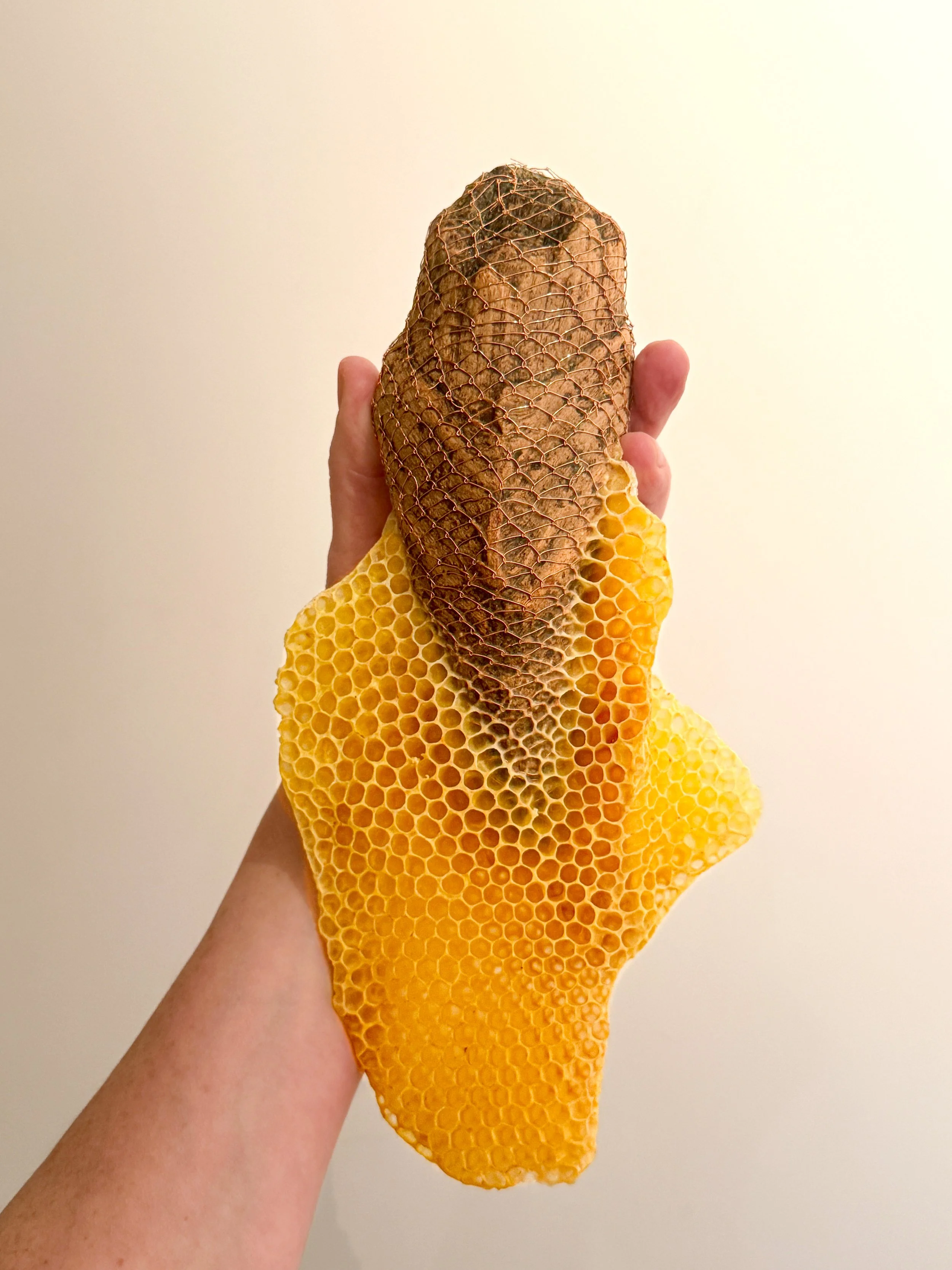  Woven Driftwood with Honeycomb 
Wire, driftwood, honeycomb