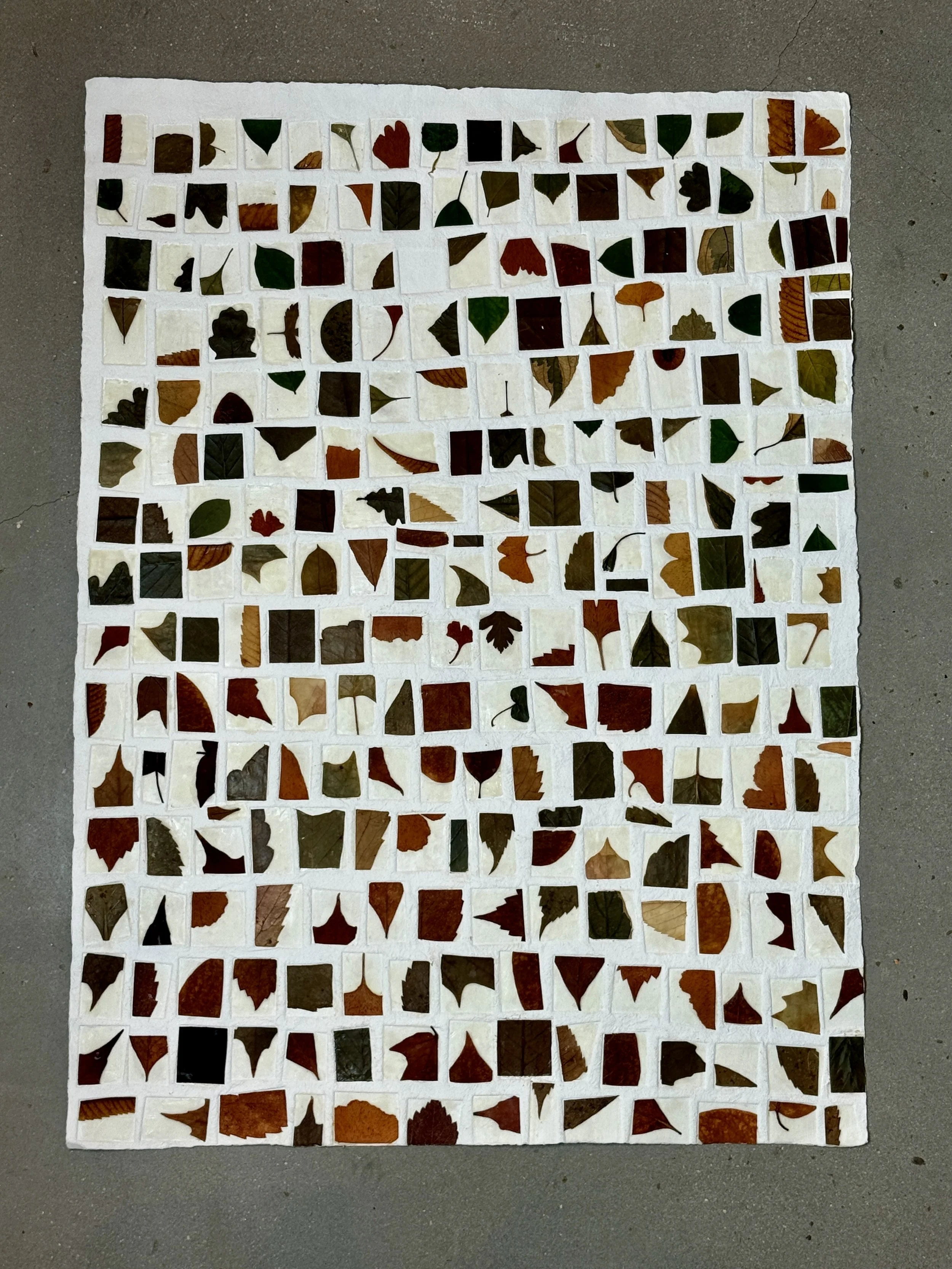  Leaf Bits on Paper, Large  
Saint Armand's Press paper, leaf bits, encaustic medium