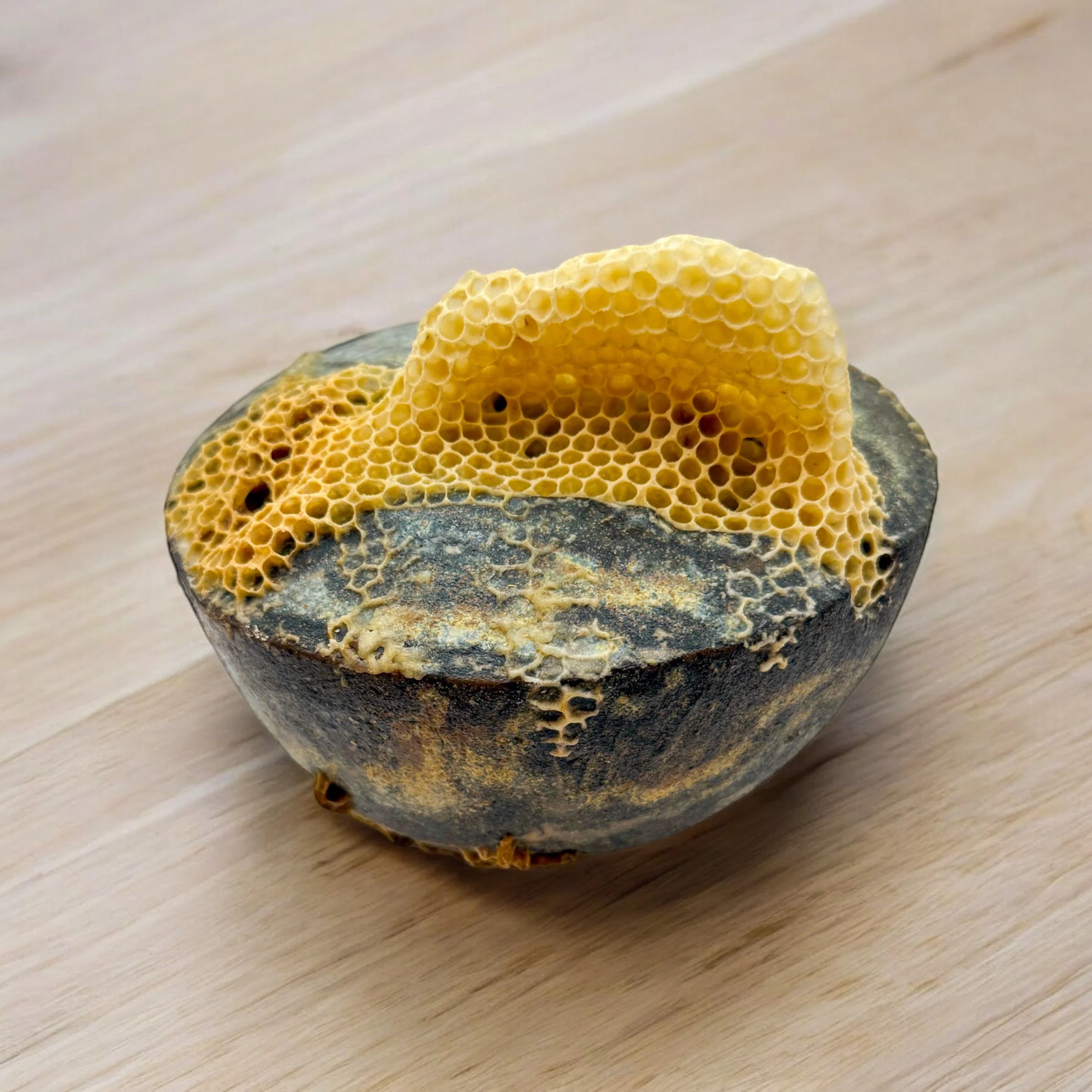  Cracked Ceramic Vase with Honeycomb 
Ceramic vase by Satoshi Yoshikawa with natural honeycomb
